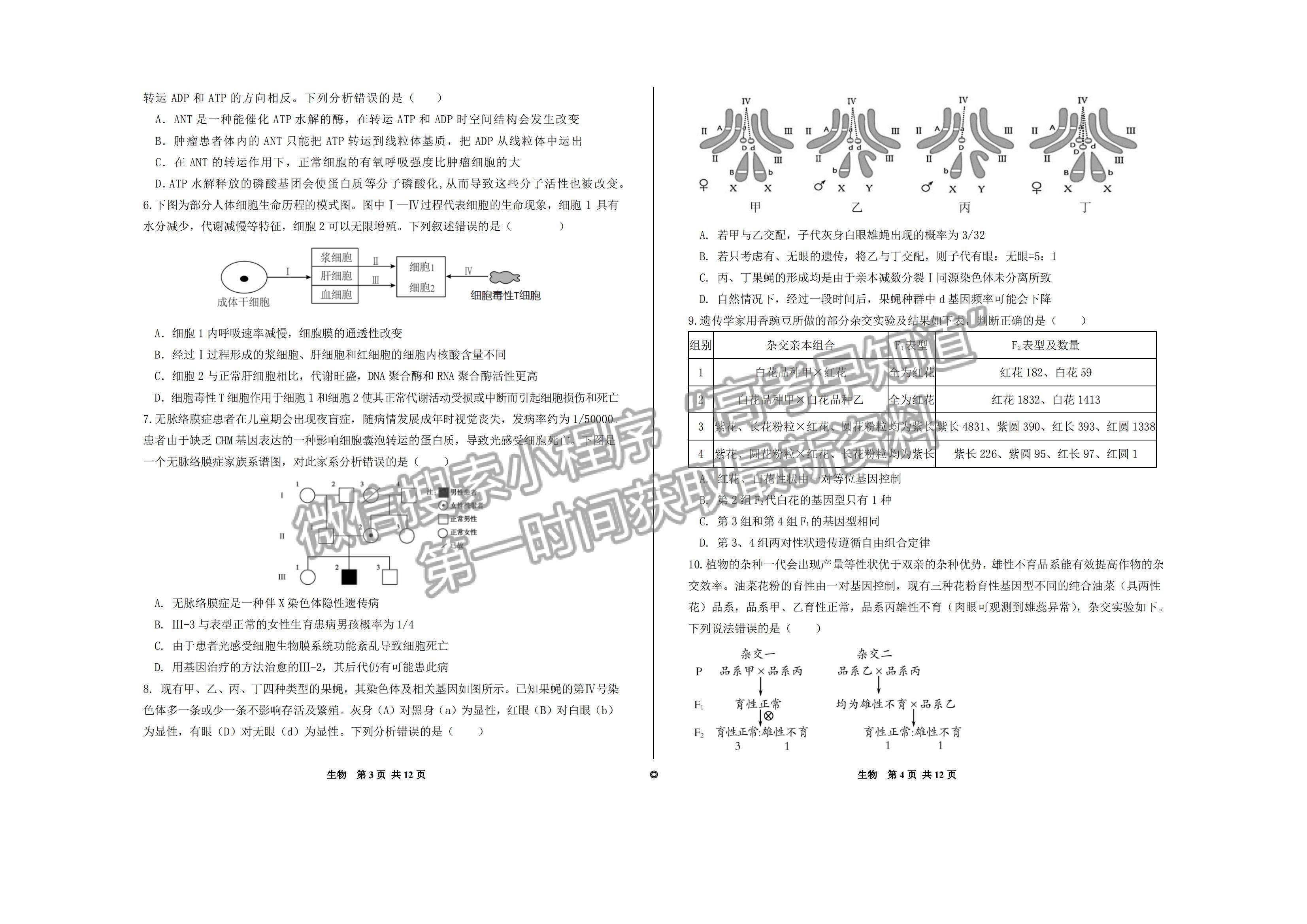 2023山東歷城第二中學(xué)高三10月月考聯(lián)合考試生物試卷及答案