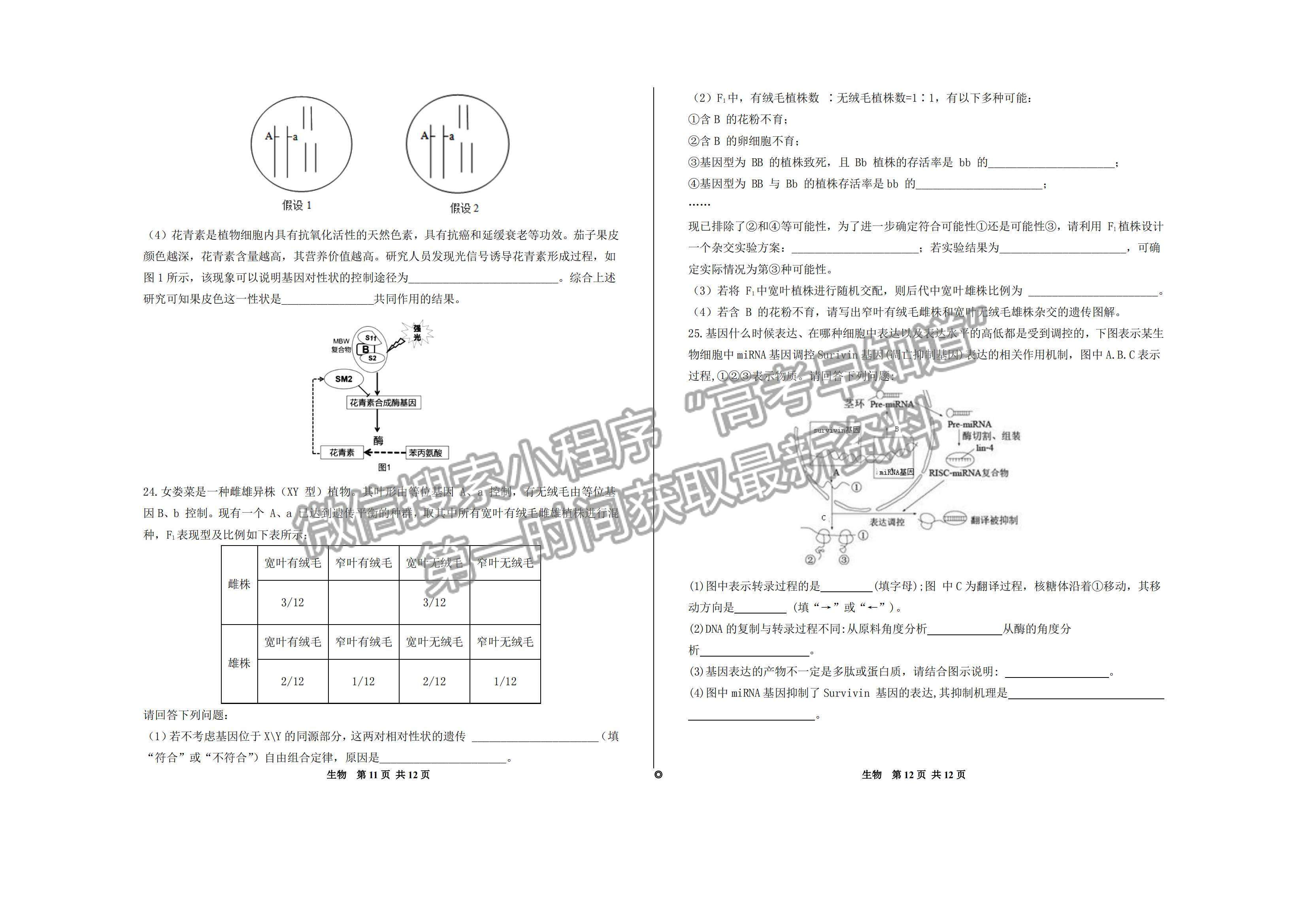 2023山東歷城第二中學(xué)高三10月月考聯(lián)合考試生物試卷及答案