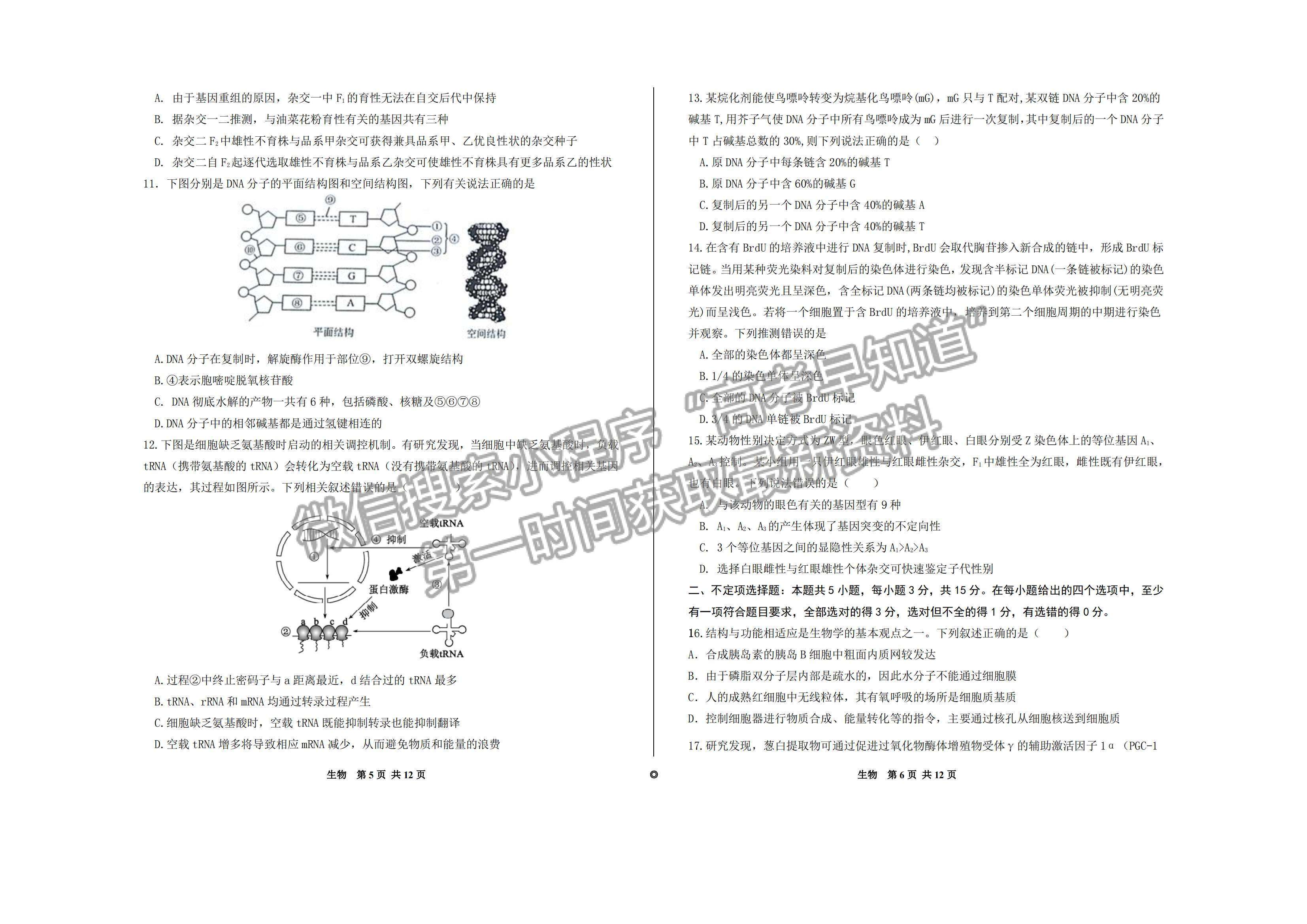 2023山東歷城第二中學高三10月月考聯(lián)合考試生物試卷及答案