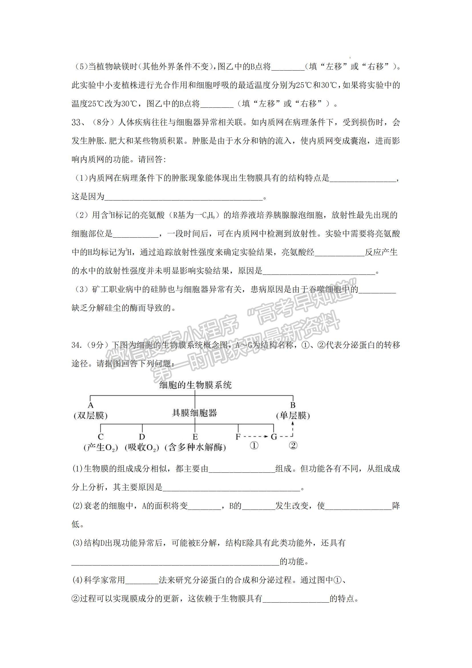 2023山東省泰安一中老校區(qū)（新泰中學）高三上學期第一次月考生物試卷及答案