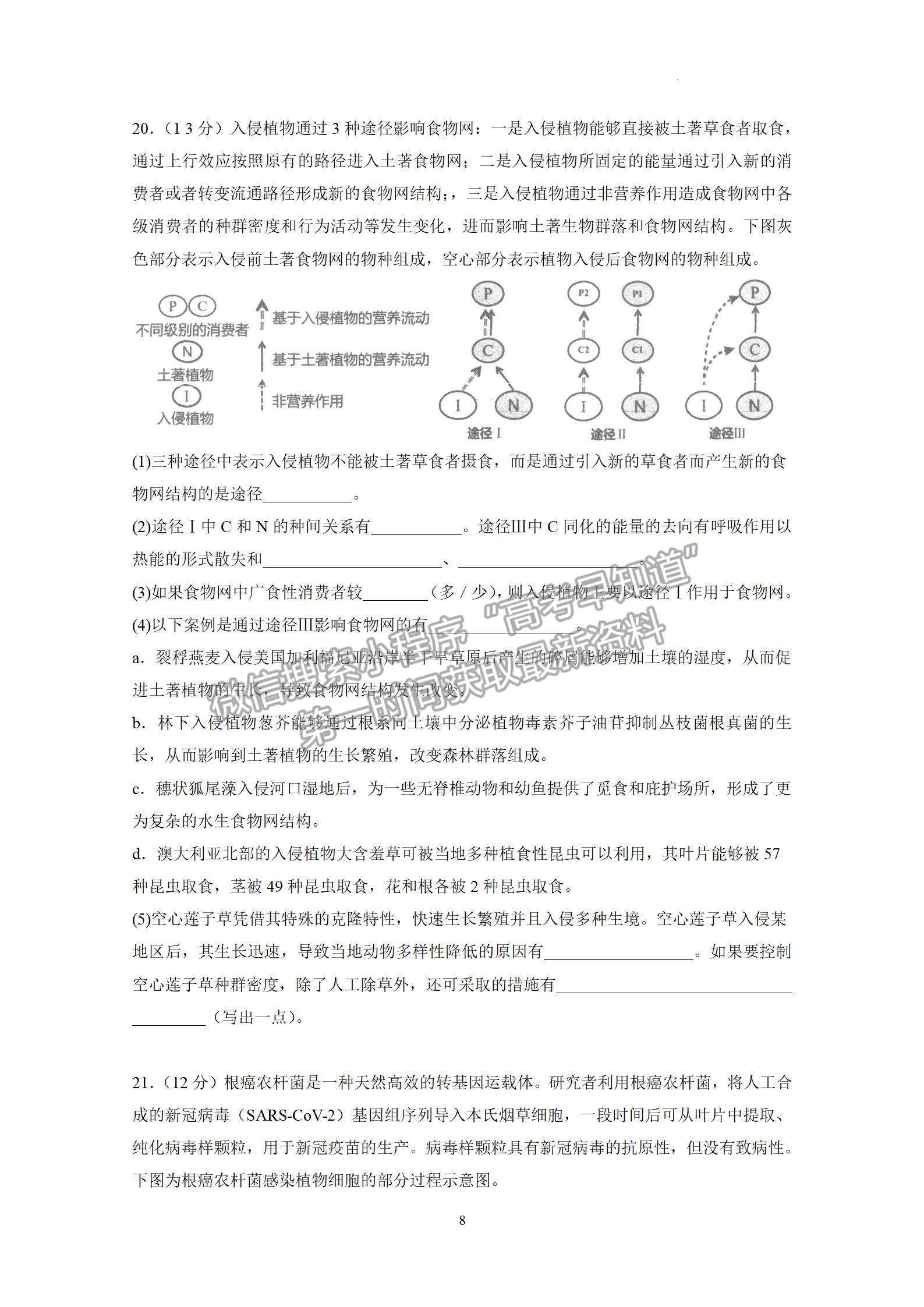 2023屆廣東省汕頭市金山中學(xué)高三上學(xué)期第二次月考生物試題及答案