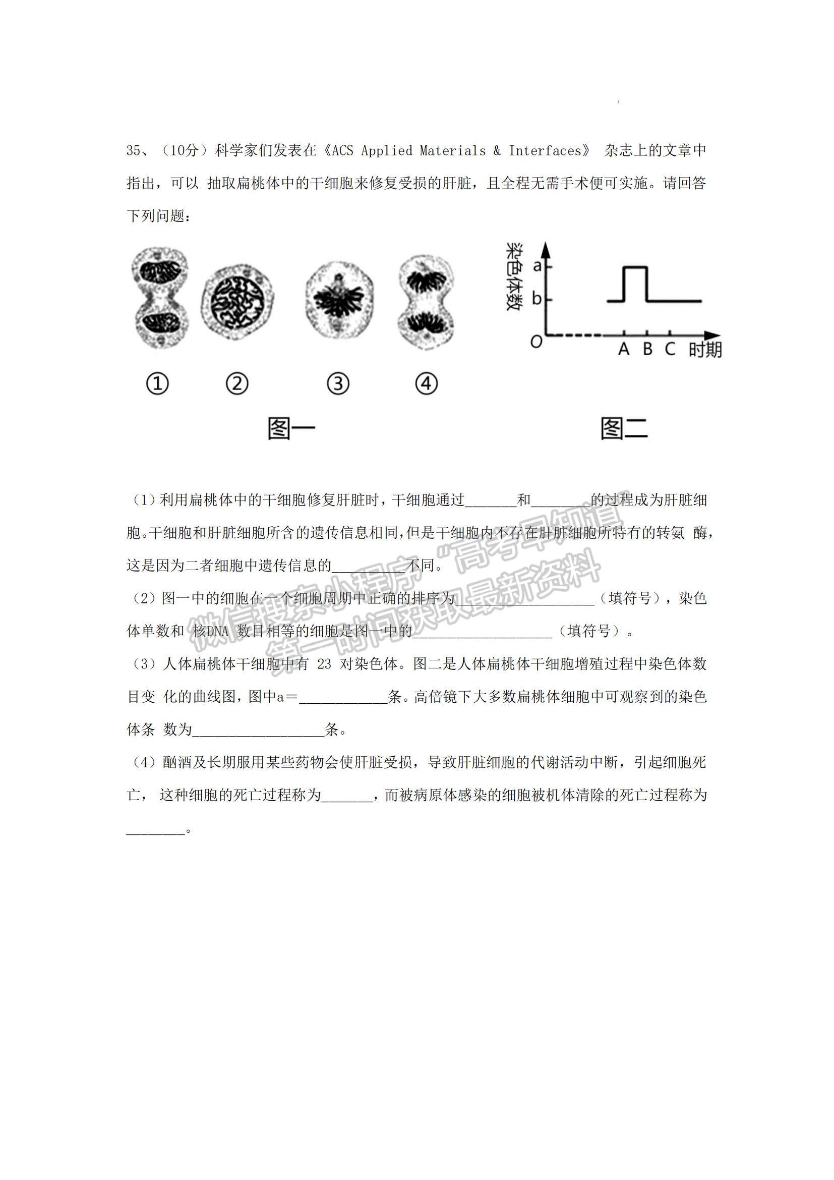 2023山東省泰安一中老校區(qū)（新泰中學）高三上學期第一次月考生物試卷及答案