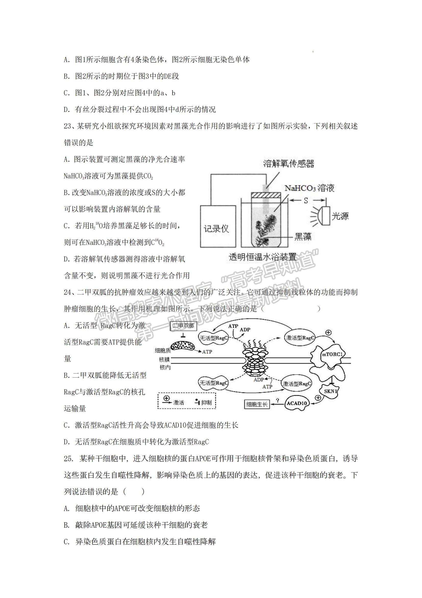 2023山東省泰安一中老校區(qū)（新泰中學）高三上學期第一次月考生物試卷及答案