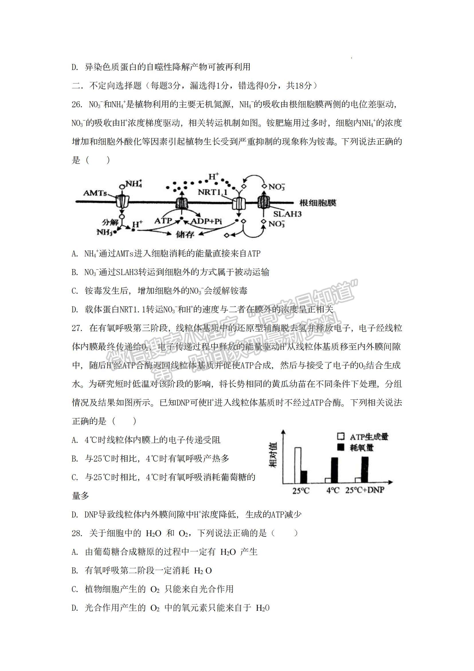 2023山東省泰安一中老校區(qū)（新泰中學）高三上學期第一次月考生物試卷及答案