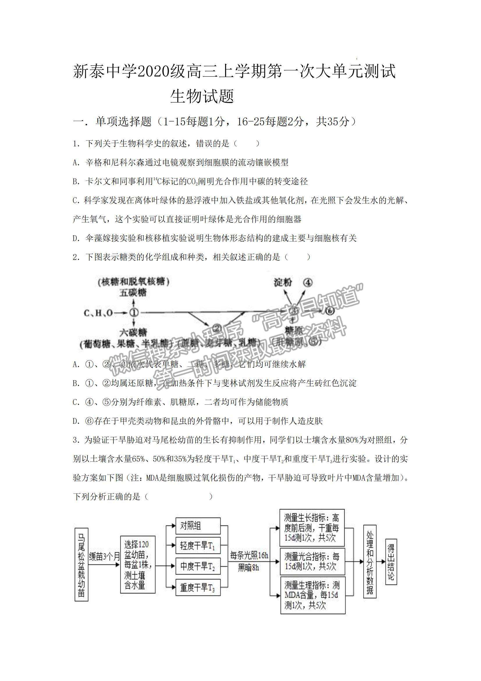 2023山東省泰安一中老校區(qū)（新泰中學(xué)）高三上學(xué)期第一次月考生物試卷及答案