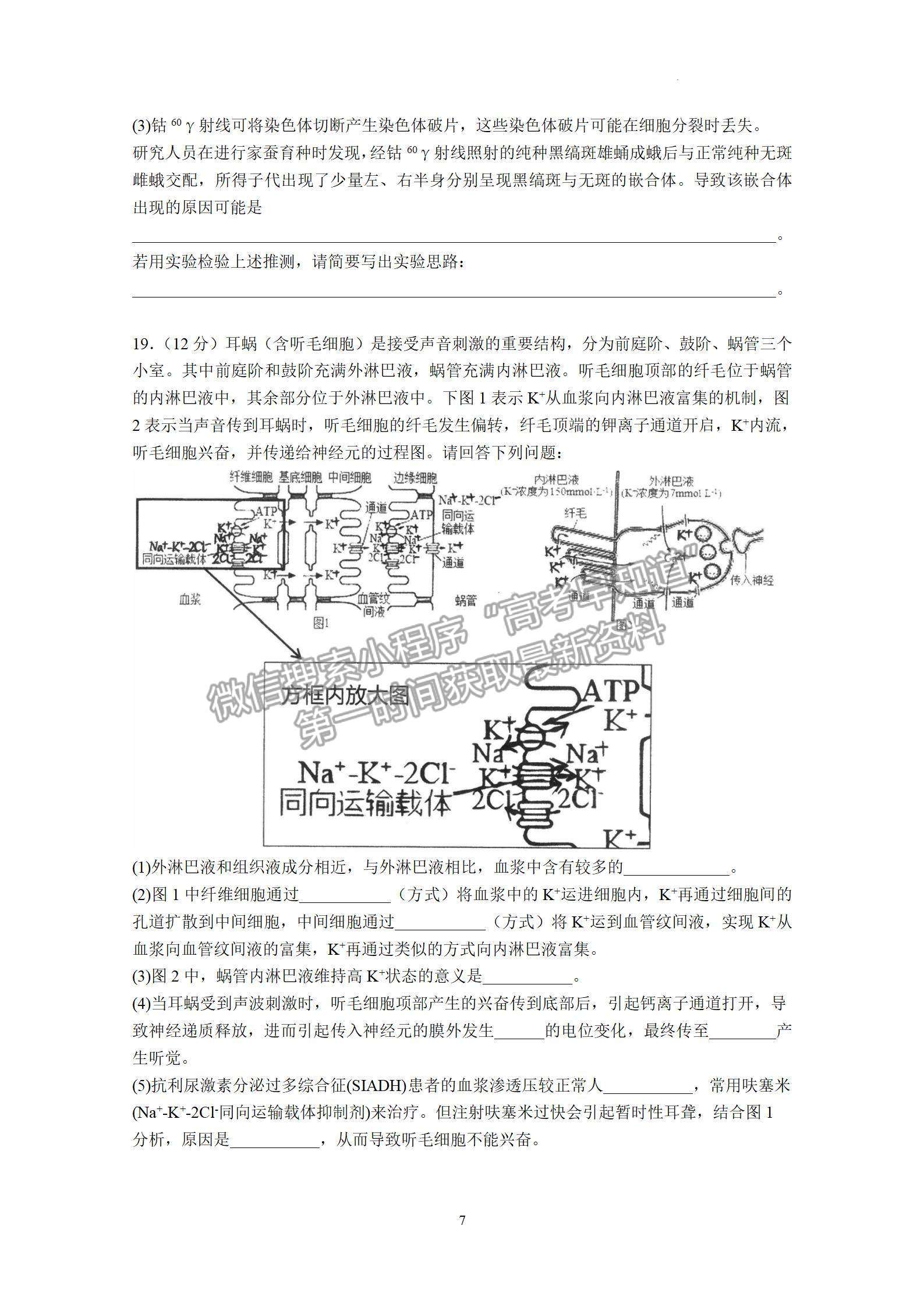 2023屆廣東省汕頭市金山中學(xué)高三上學(xué)期第二次月考生物試題及答案