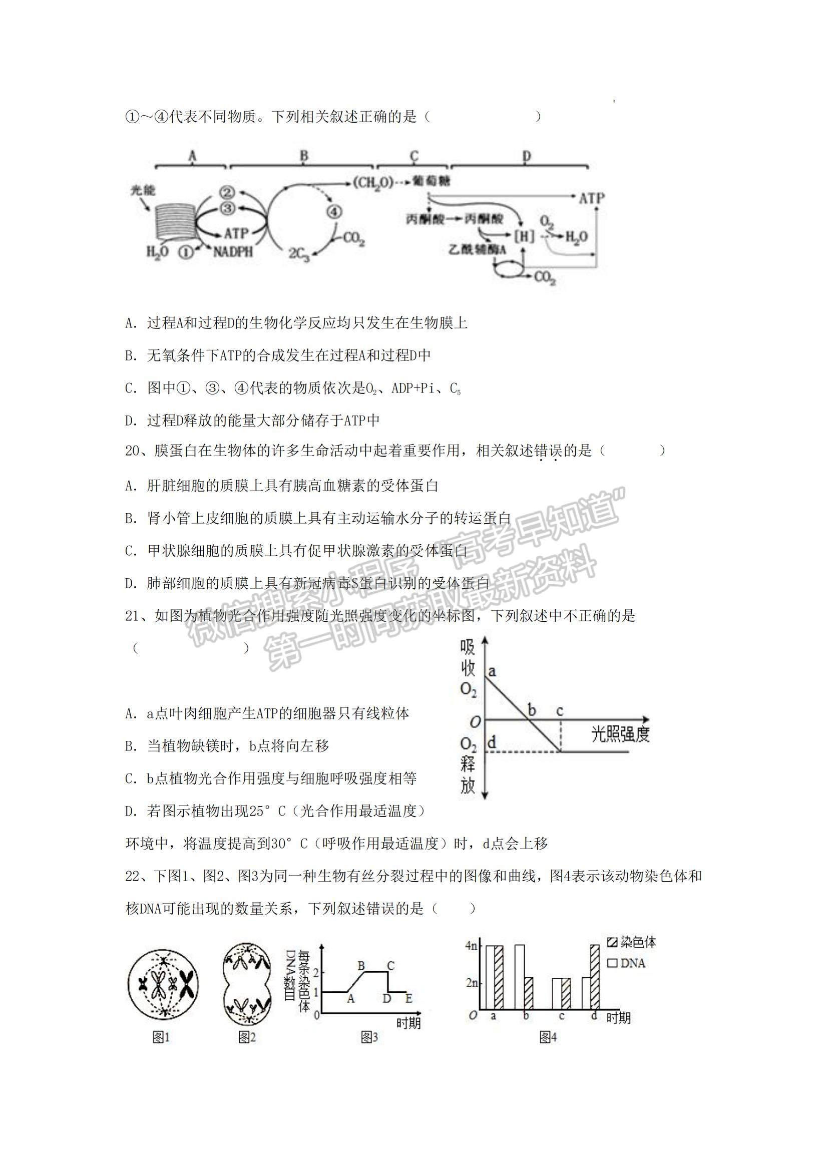 2023山東省泰安一中老校區(qū)（新泰中學(xué)）高三上學(xué)期第一次月考生物試卷及答案