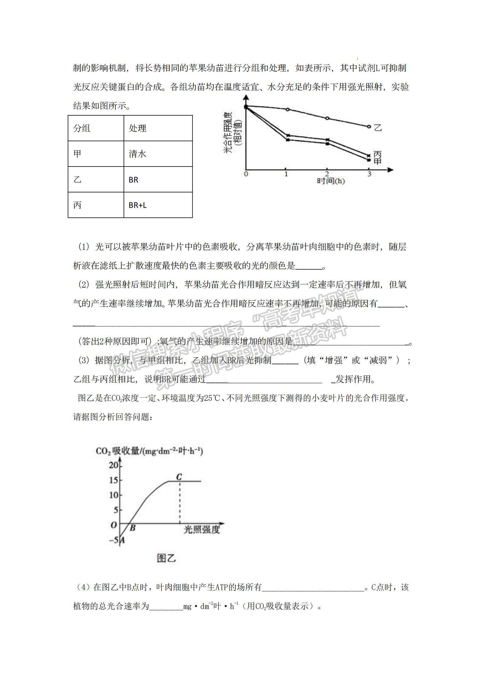 2023山東省泰安一中老校區(qū)（新泰中學）高三上學期第一次月考生物試卷及答案