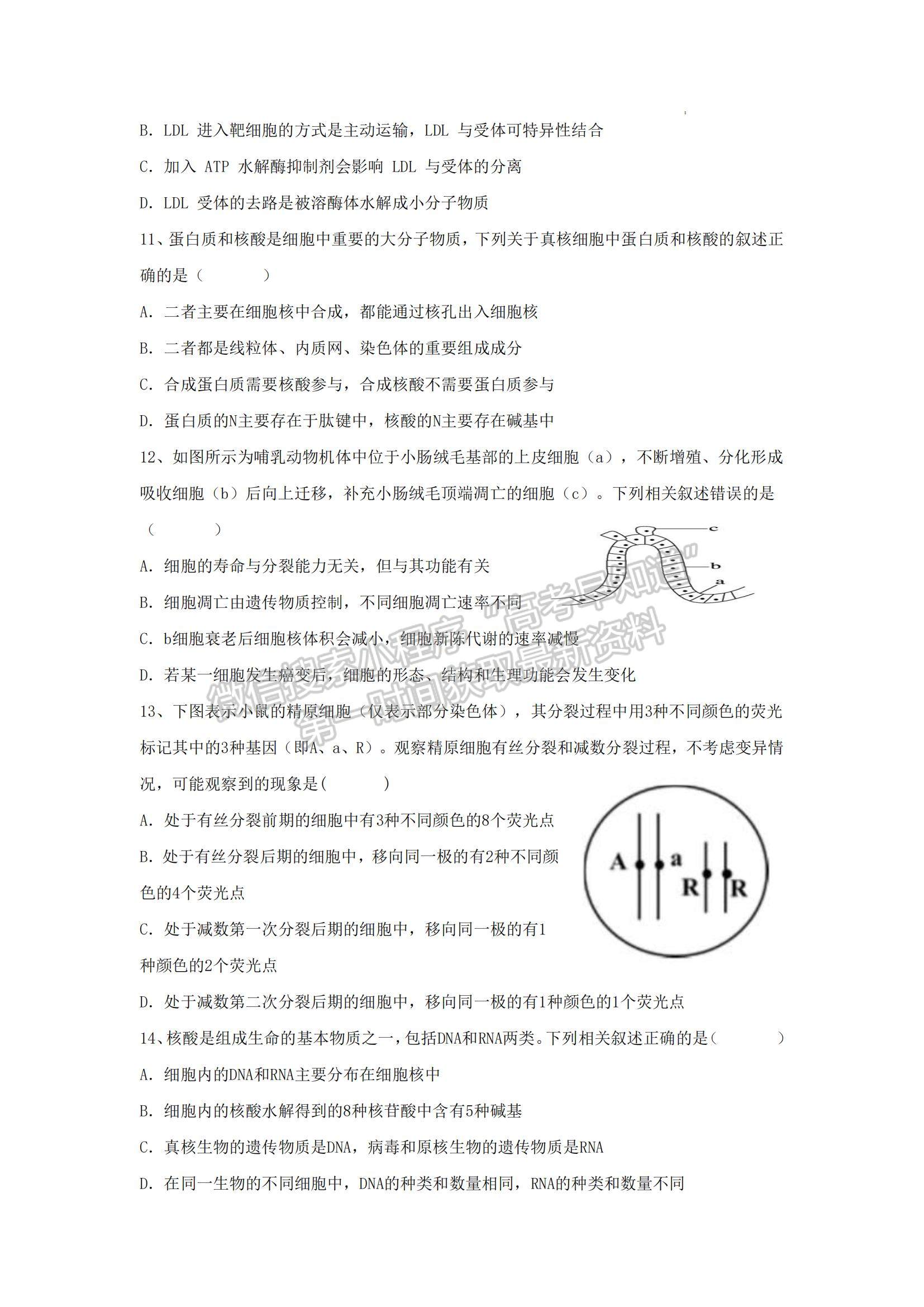 2023山東省泰安一中老校區(qū)（新泰中學）高三上學期第一次月考生物試卷及答案