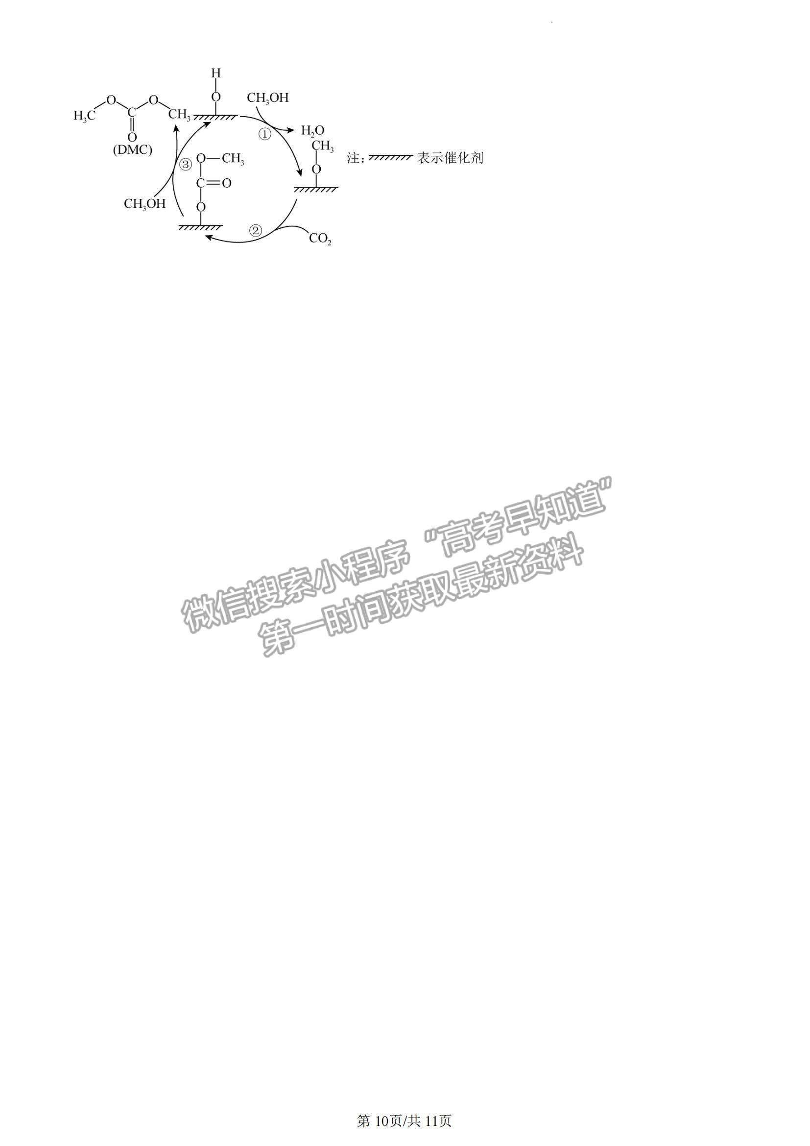 2023山東省泰安一中老校區(qū)（新泰中學(xué)）高三上學(xué)期第一次月考化學(xué)試卷及答案