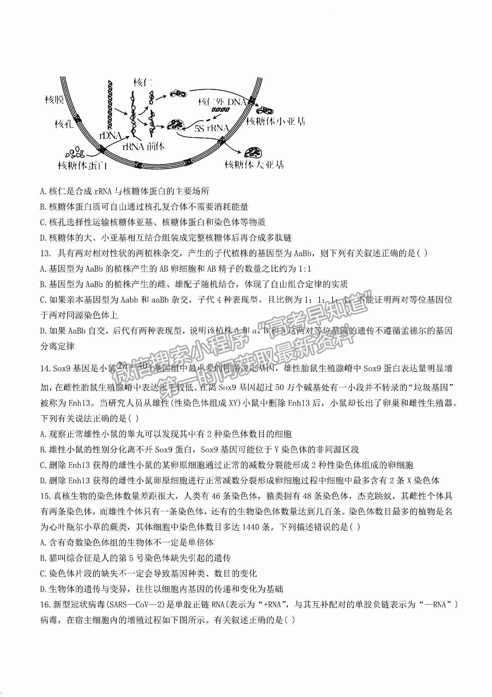 2023江西省臨川第一中學高三上學期第一次月考生物試卷及答案