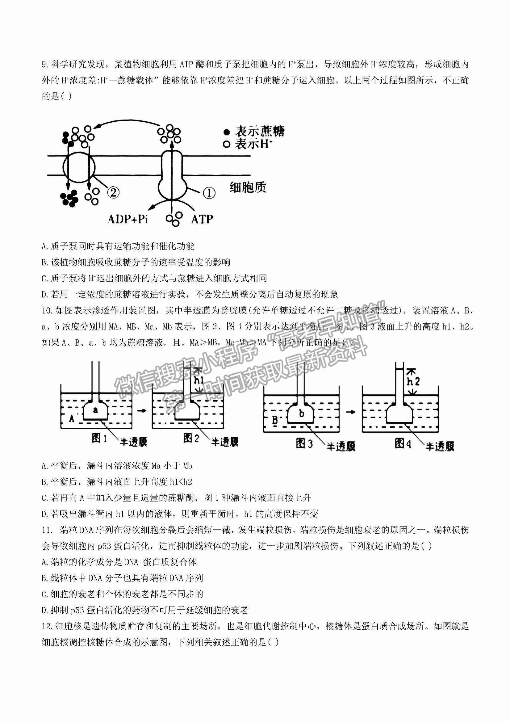 2023江西省臨川第一中學高三上學期第一次月考生物試卷及答案