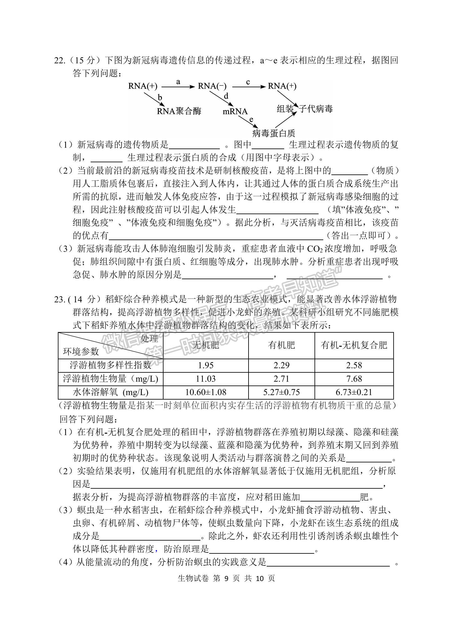 2023屆湖北騰云聯(lián)盟高三10月聯(lián)考生物試卷及參考答案