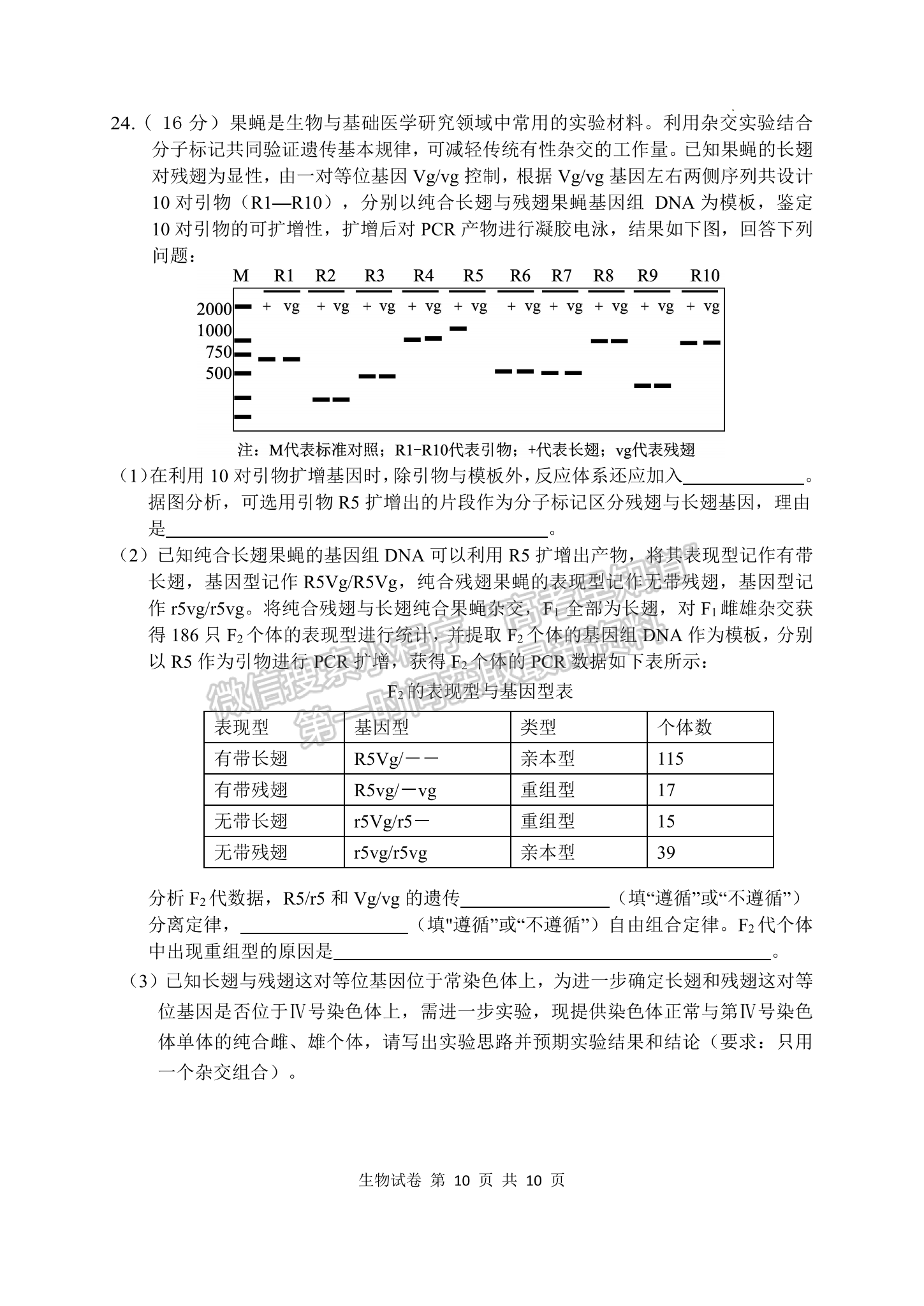 2023屆湖北騰云聯(lián)盟高三10月聯(lián)考生物試卷及參考答案