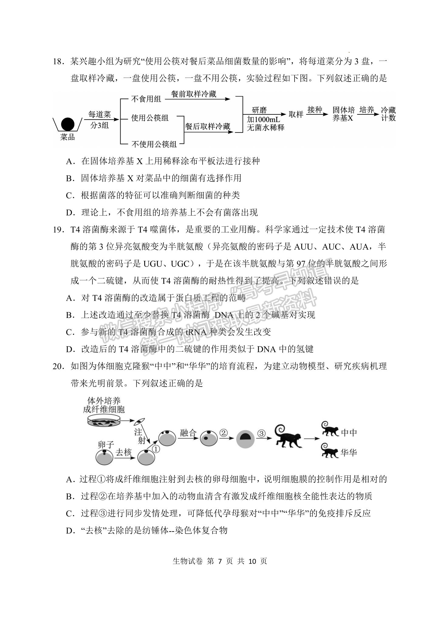 2023屆湖北騰云聯(lián)盟高三10月聯(lián)考生物試卷及參考答案