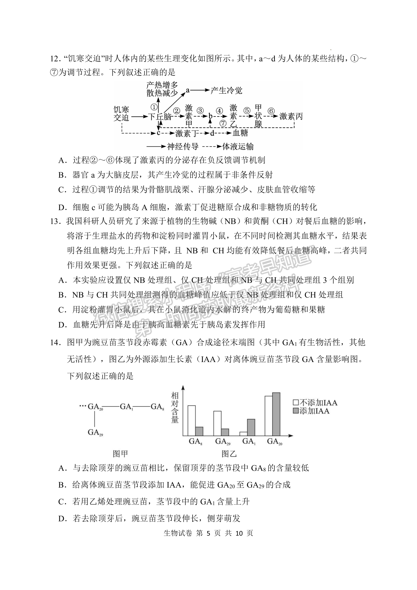 2023屆湖北騰云聯(lián)盟高三10月聯(lián)考生物試卷及參考答案