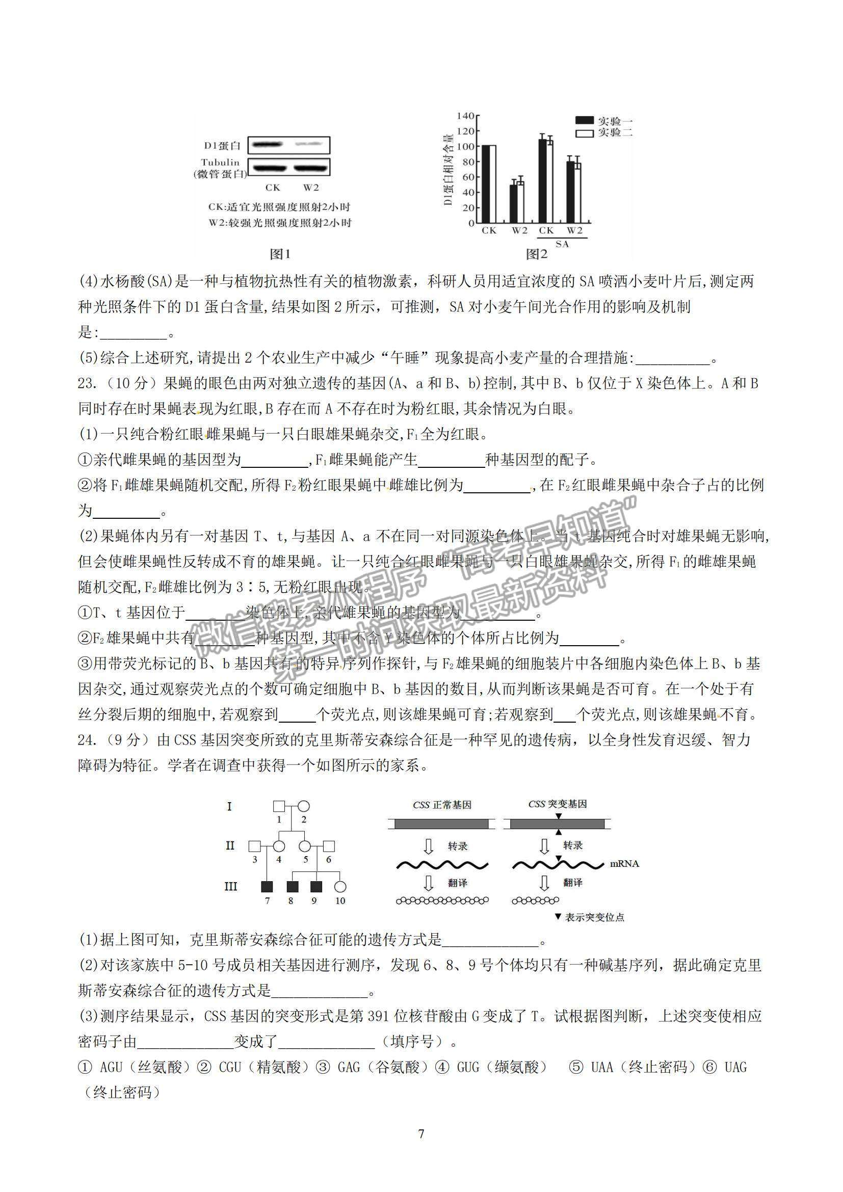 2023山東師范大學附屬中學高三10月學情診斷考試生物試卷及答案