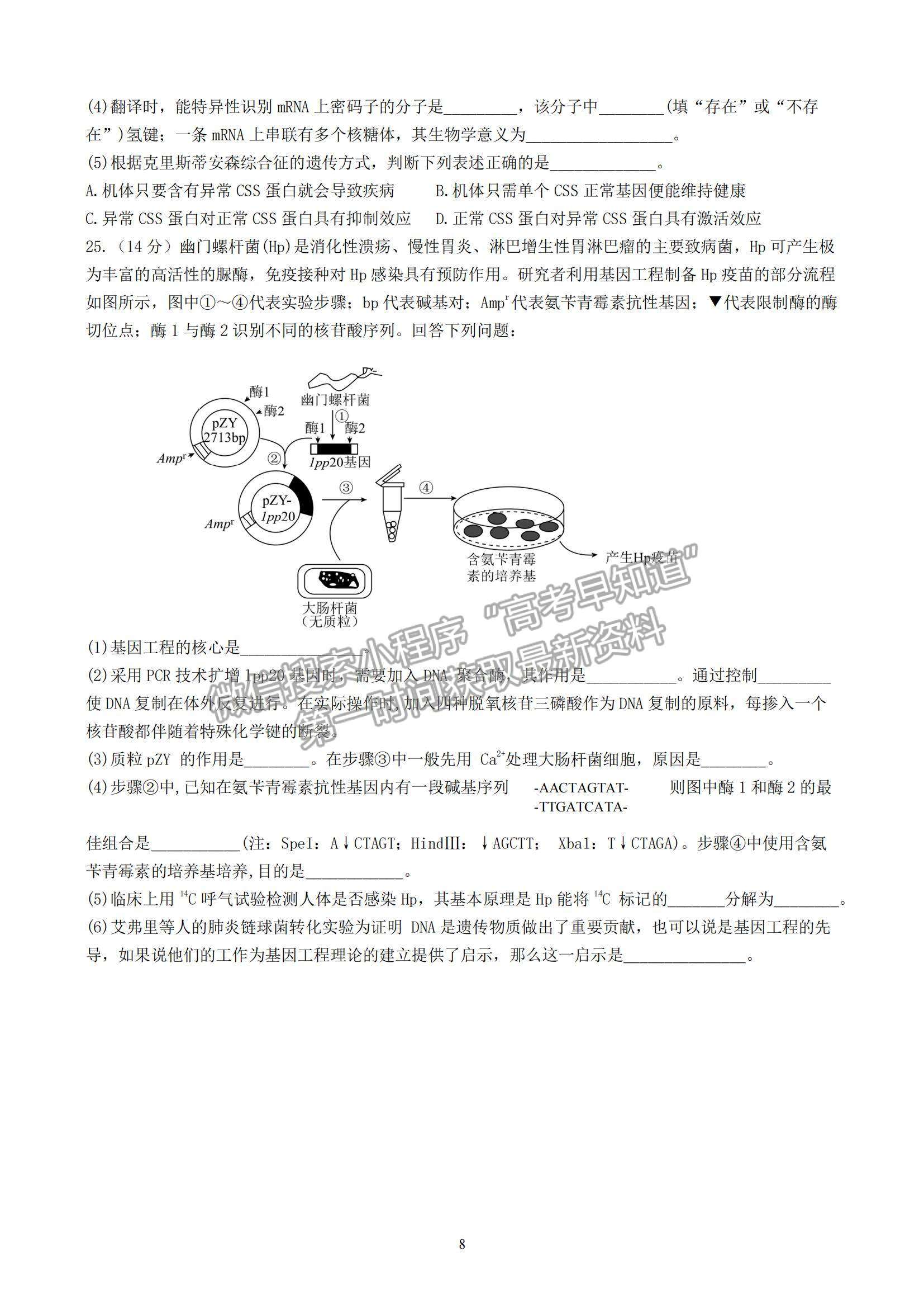 2023山東師范大學附屬中學高三10月學情診斷考試生物試卷及答案