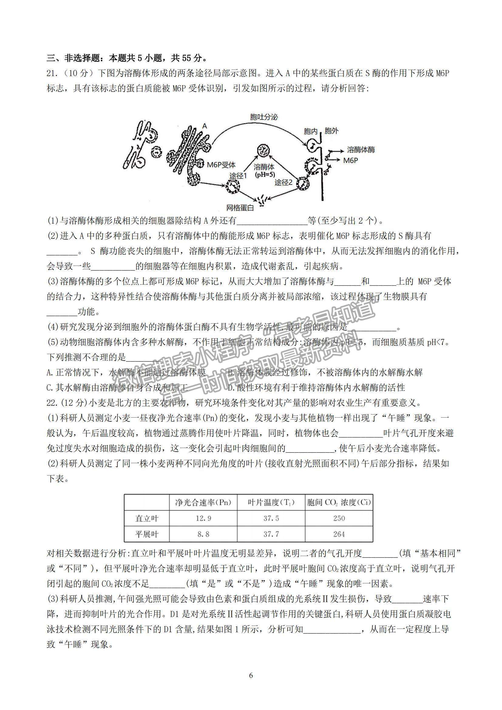 2023山東師范大學(xué)附屬中學(xué)高三10月學(xué)情診斷考試生物試卷及答案