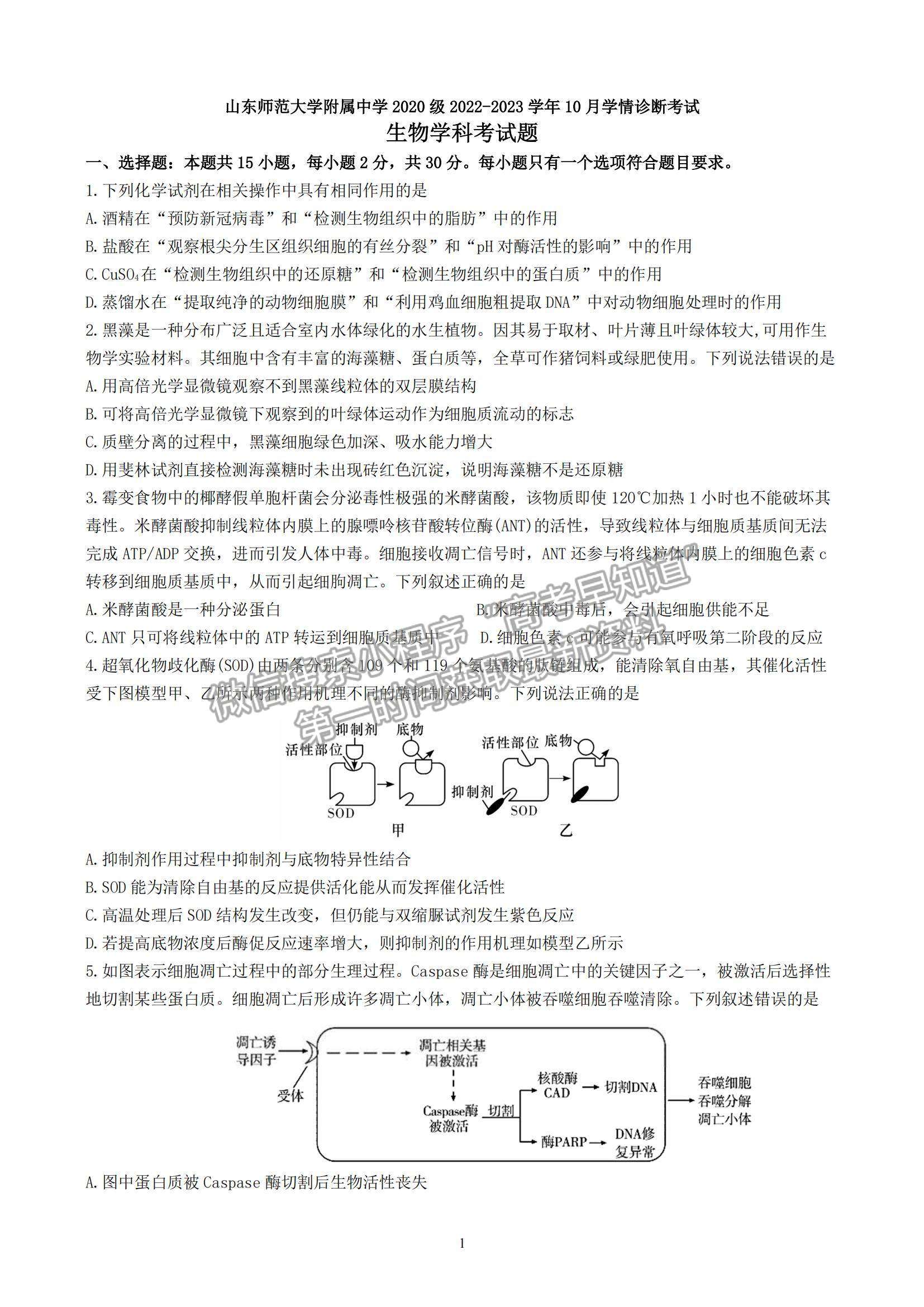 2023山東師范大學附屬中學高三10月學情診斷考試生物試卷及答案