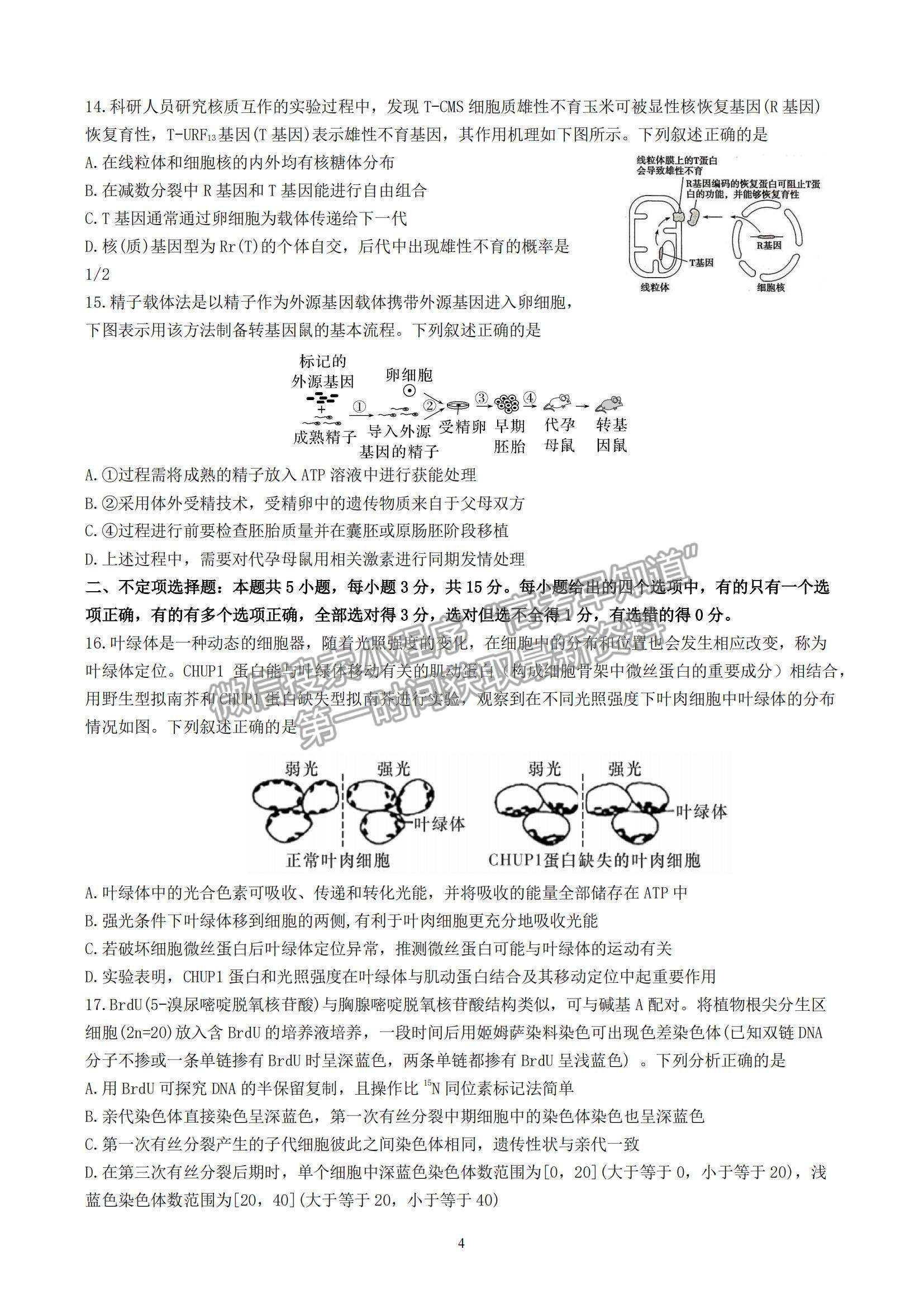 2023山東師范大學附屬中學高三10月學情診斷考試生物試卷及答案