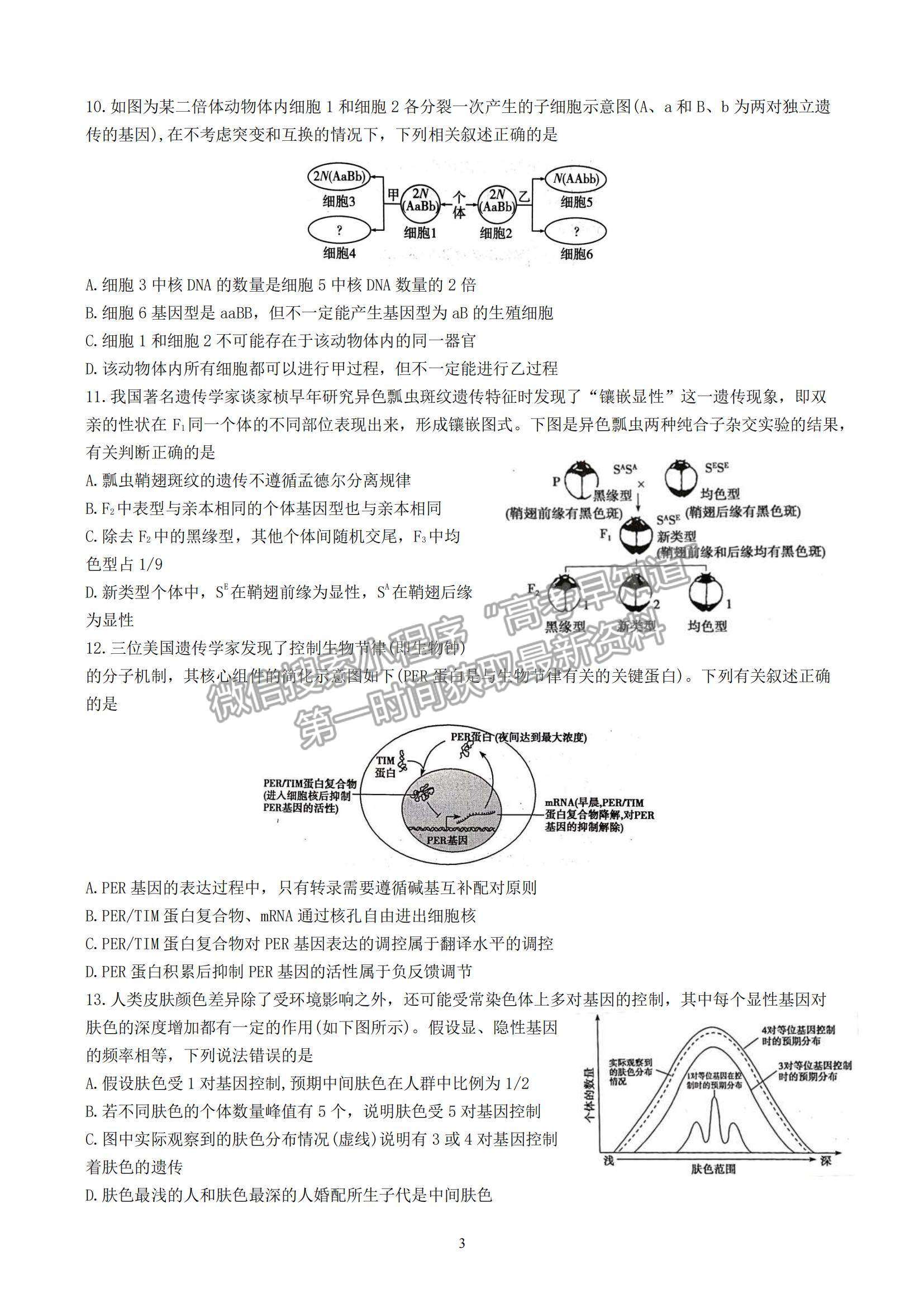 2023山東師范大學(xué)附屬中學(xué)高三10月學(xué)情診斷考試生物試卷及答案