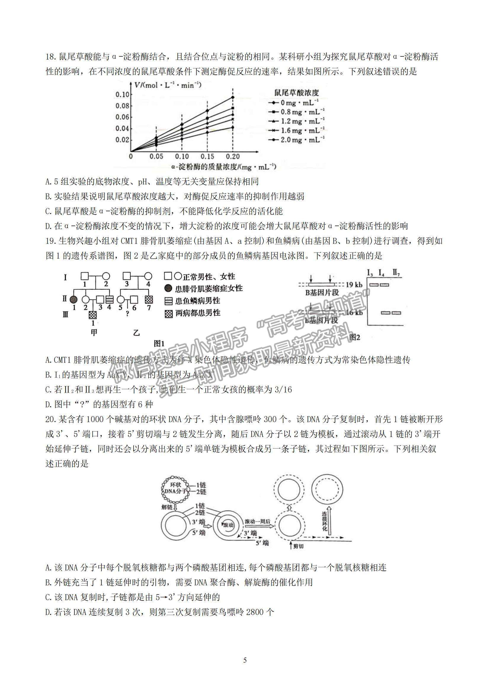 2023山東師范大學附屬中學高三10月學情診斷考試生物試卷及答案