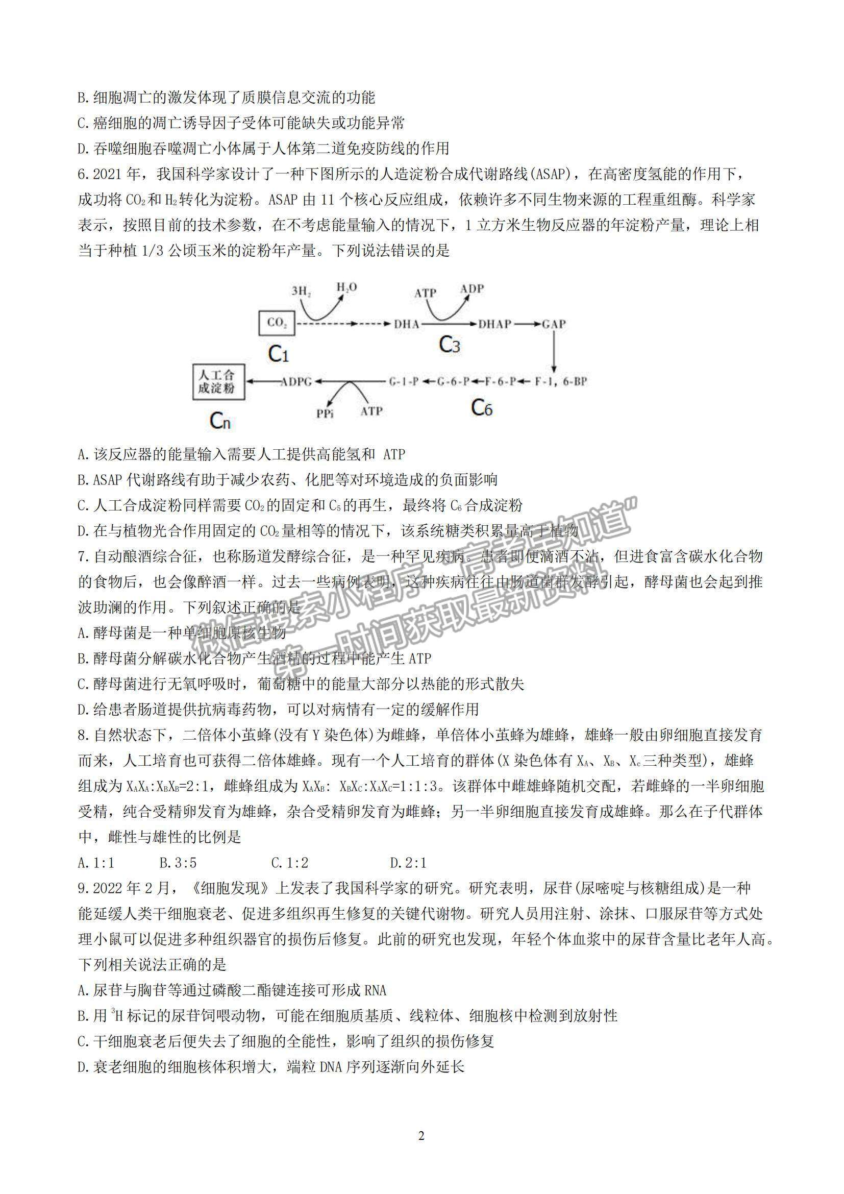 2023山東師范大學附屬中學高三10月學情診斷考試生物試卷及答案