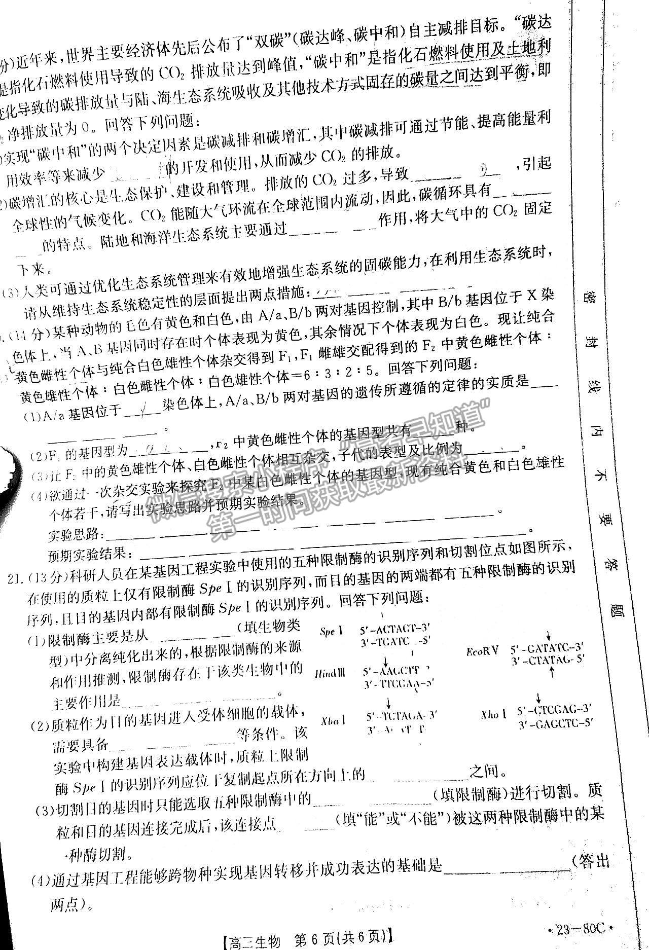 2023湛江高三10月調(diào)研（23-80C）生物試題及答案