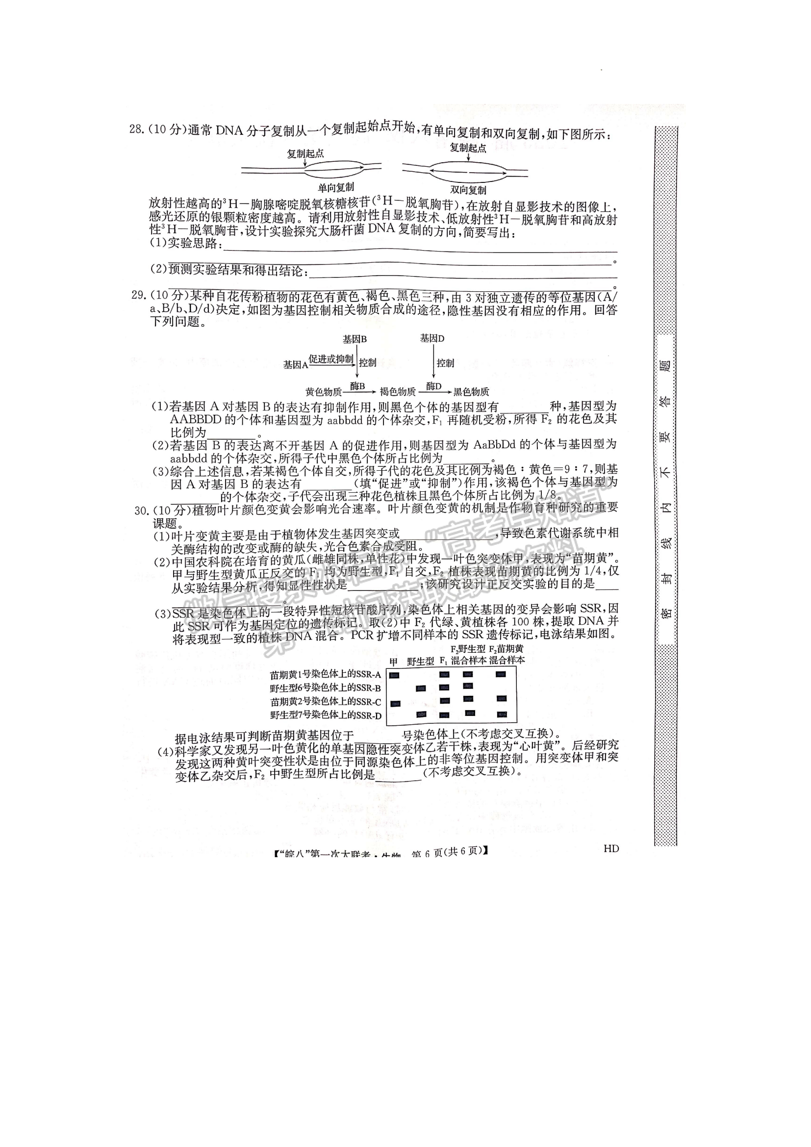 2023安徽皖南八校高三第一次聯(lián)考生物試題及答案