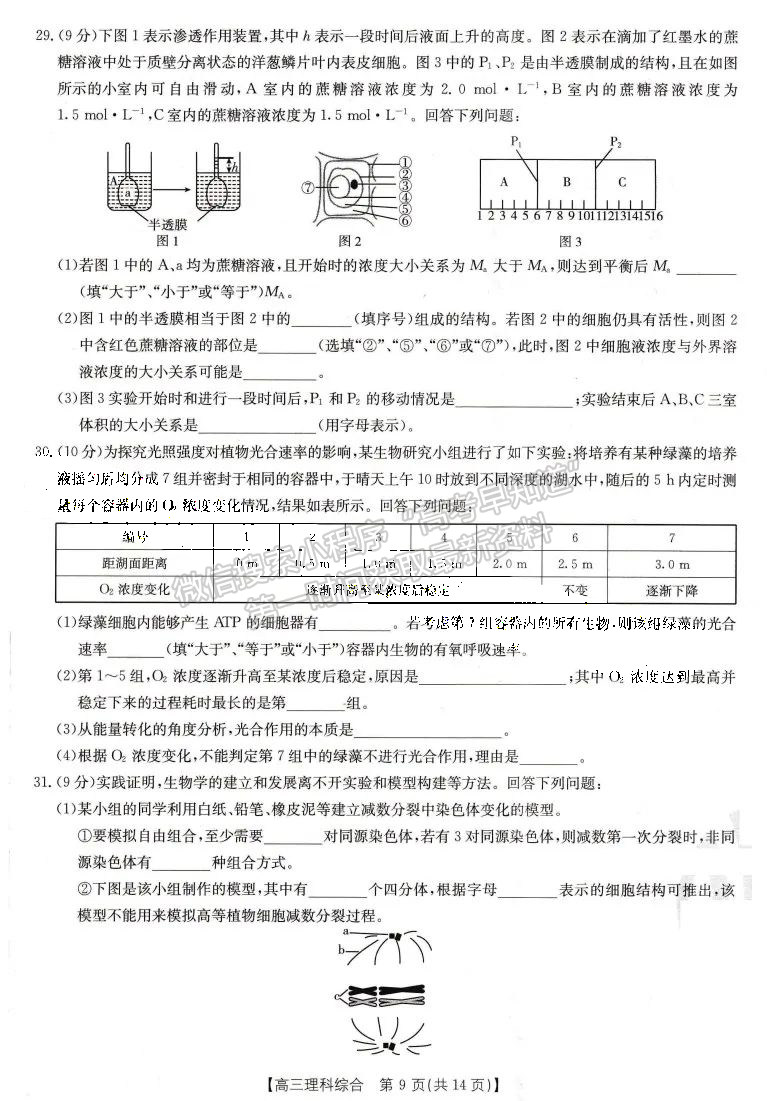 2023屆四川省10月聯(lián)考(角標(biāo)23-65C)理科綜合試題及答案