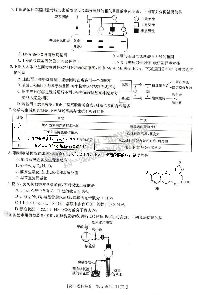 2023屆四川省10月聯(lián)考(角標23-65C)理科綜合試題及答案