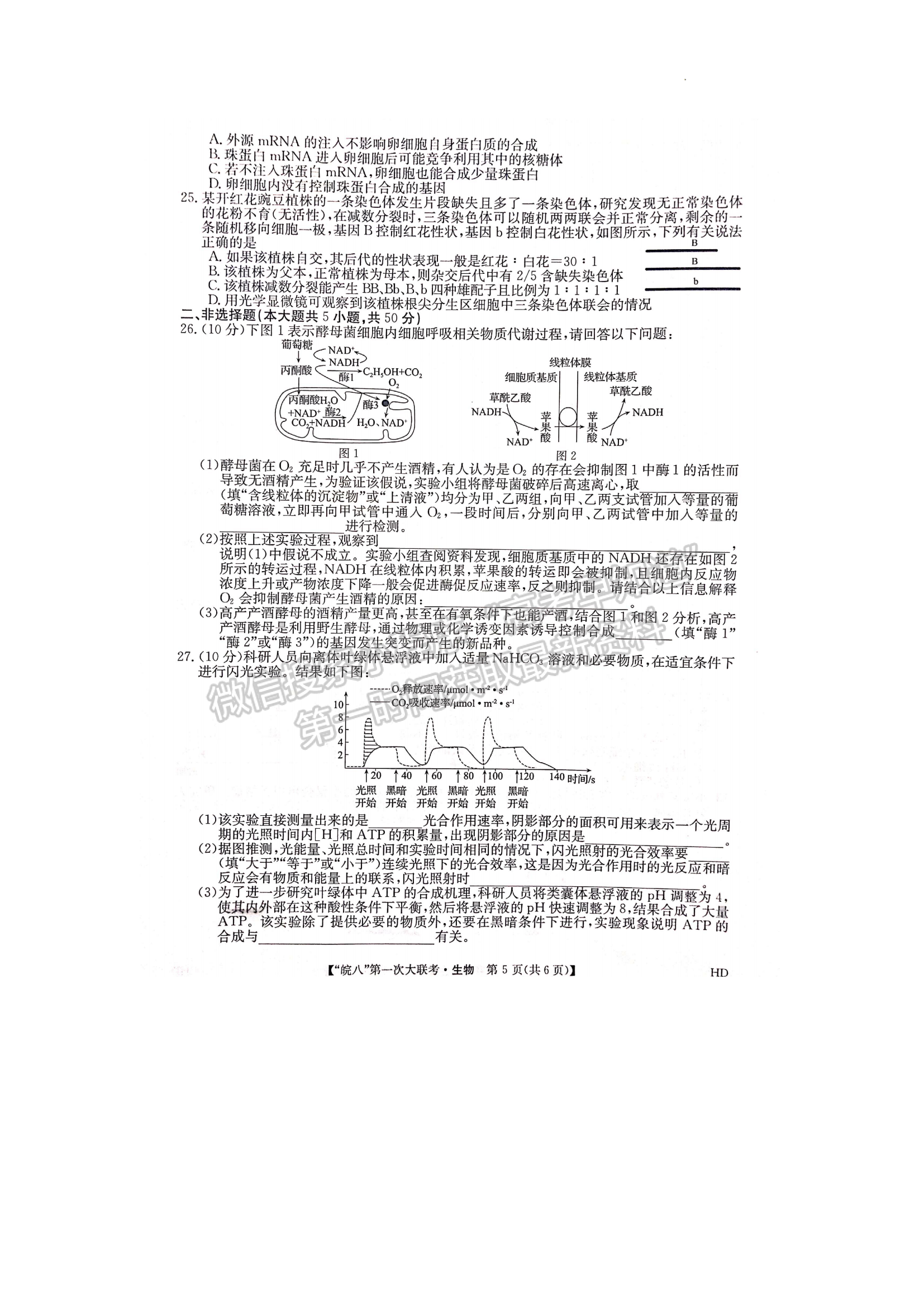 2023安徽皖南八校高三第一次聯(lián)考生物試題及答案