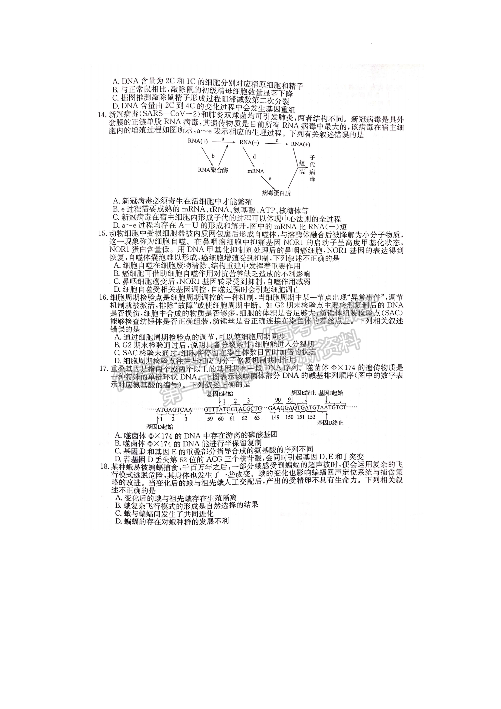 2023安徽皖南八校高三第一次聯(lián)考生物試題及答案