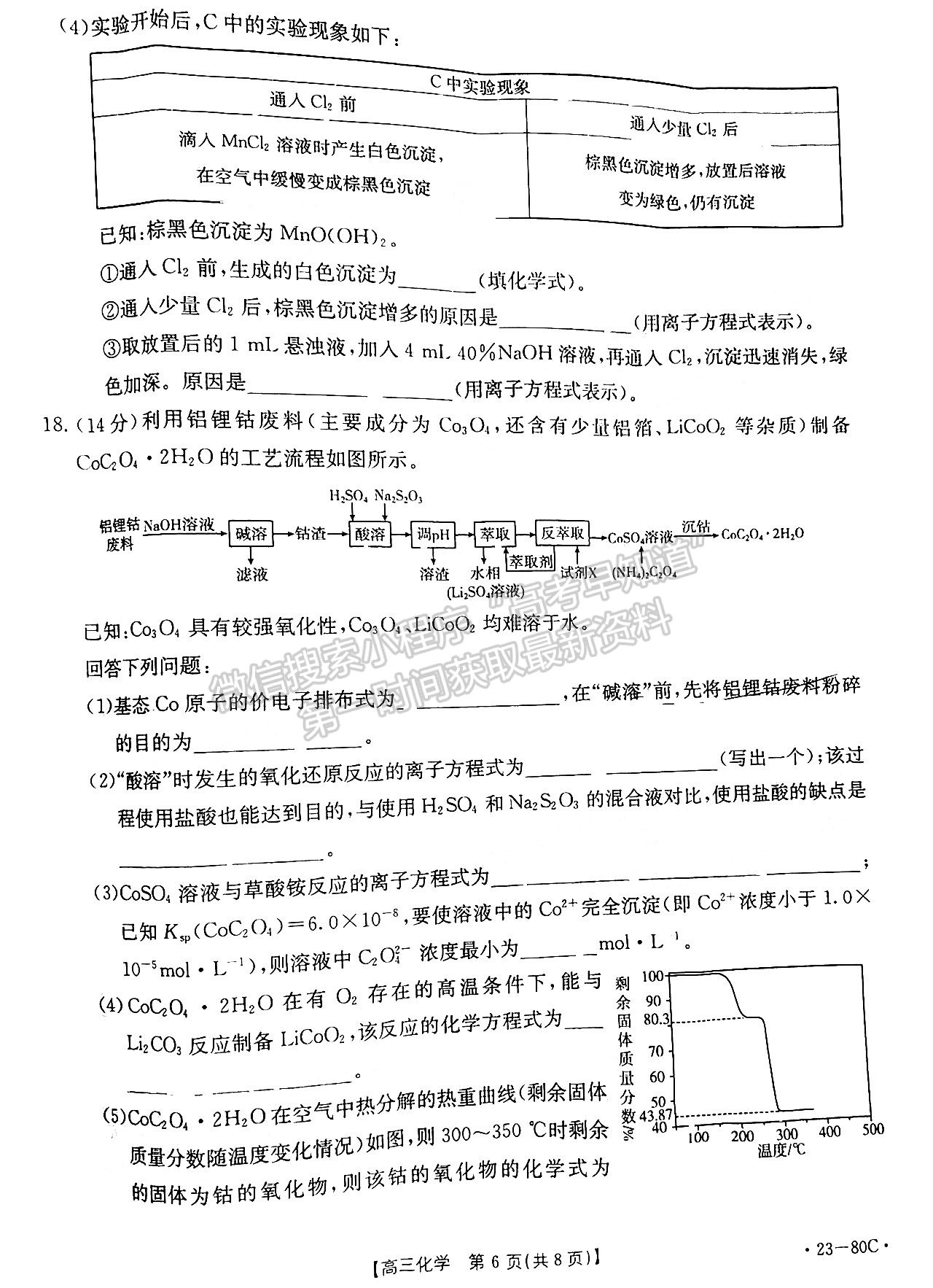 2023湛江高三10月調(diào)研（23-80C）化學(xué)試題及答案