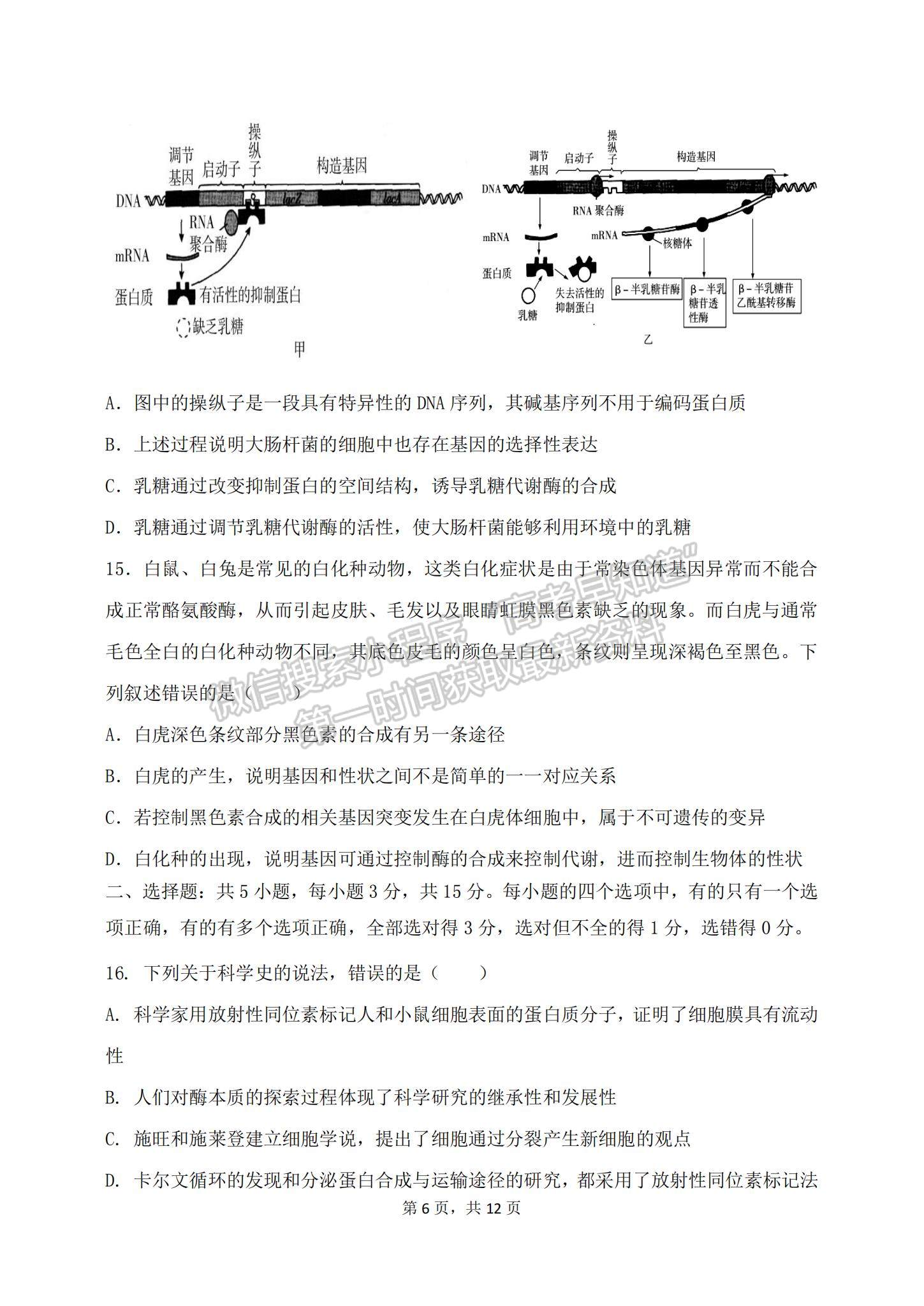 2023山東滕州一中高三10月月考生物試卷和答案