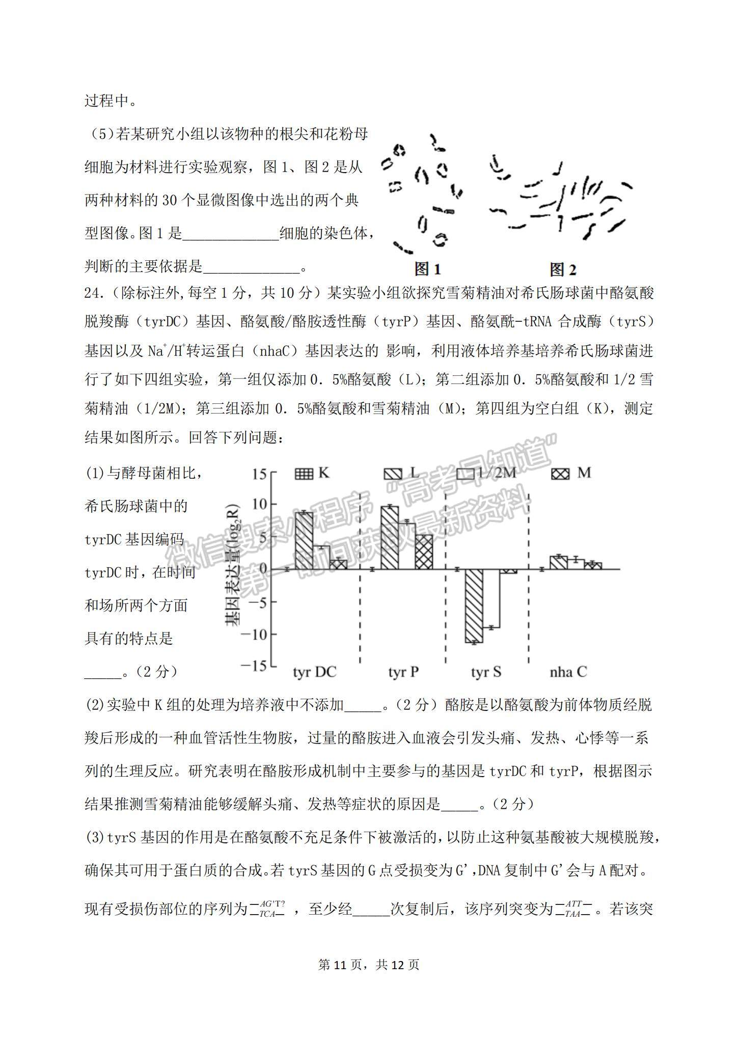 2023山東滕州一中高三10月月考生物試卷和答案