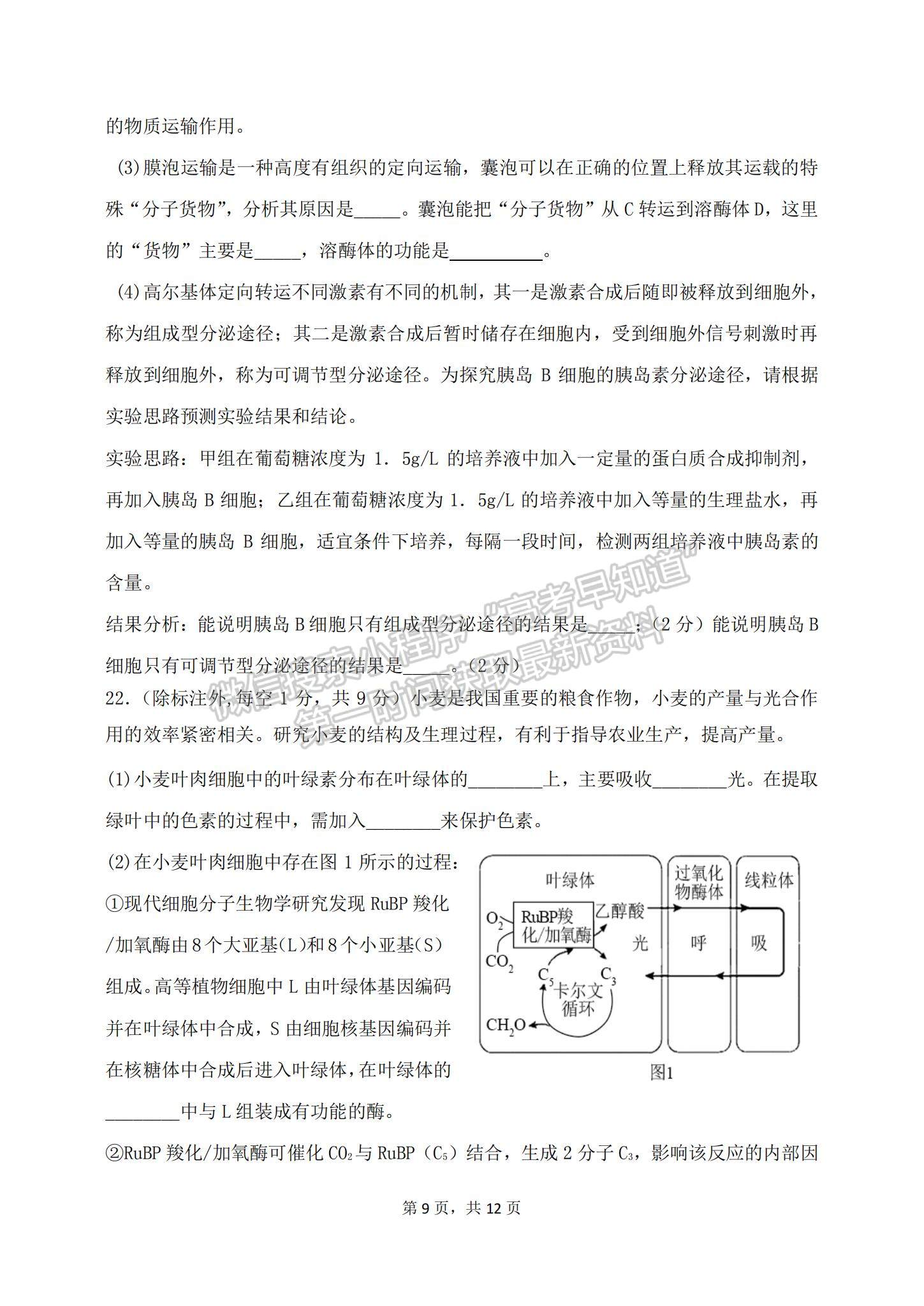 2023山東滕州一中高三10月月考生物試卷和答案