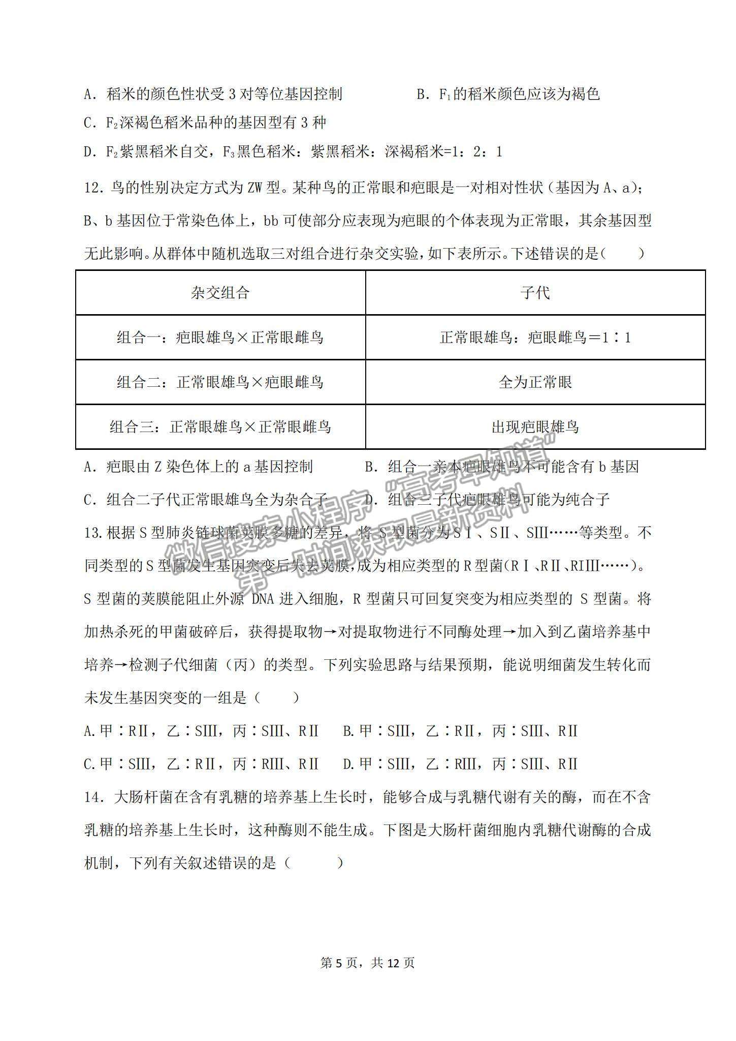 2023山東滕州一中高三10月月考生物試卷和答案