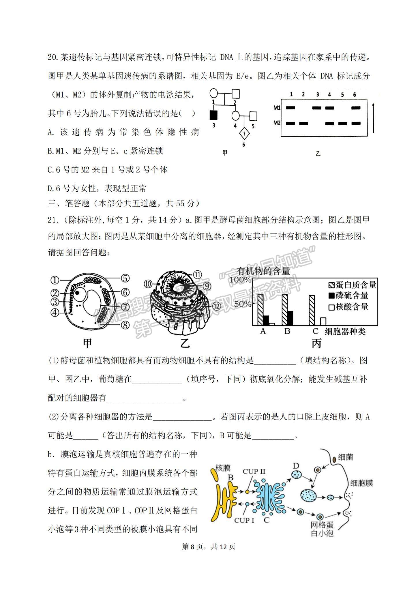 2023山東滕州一中高三10月月考生物試卷和答案