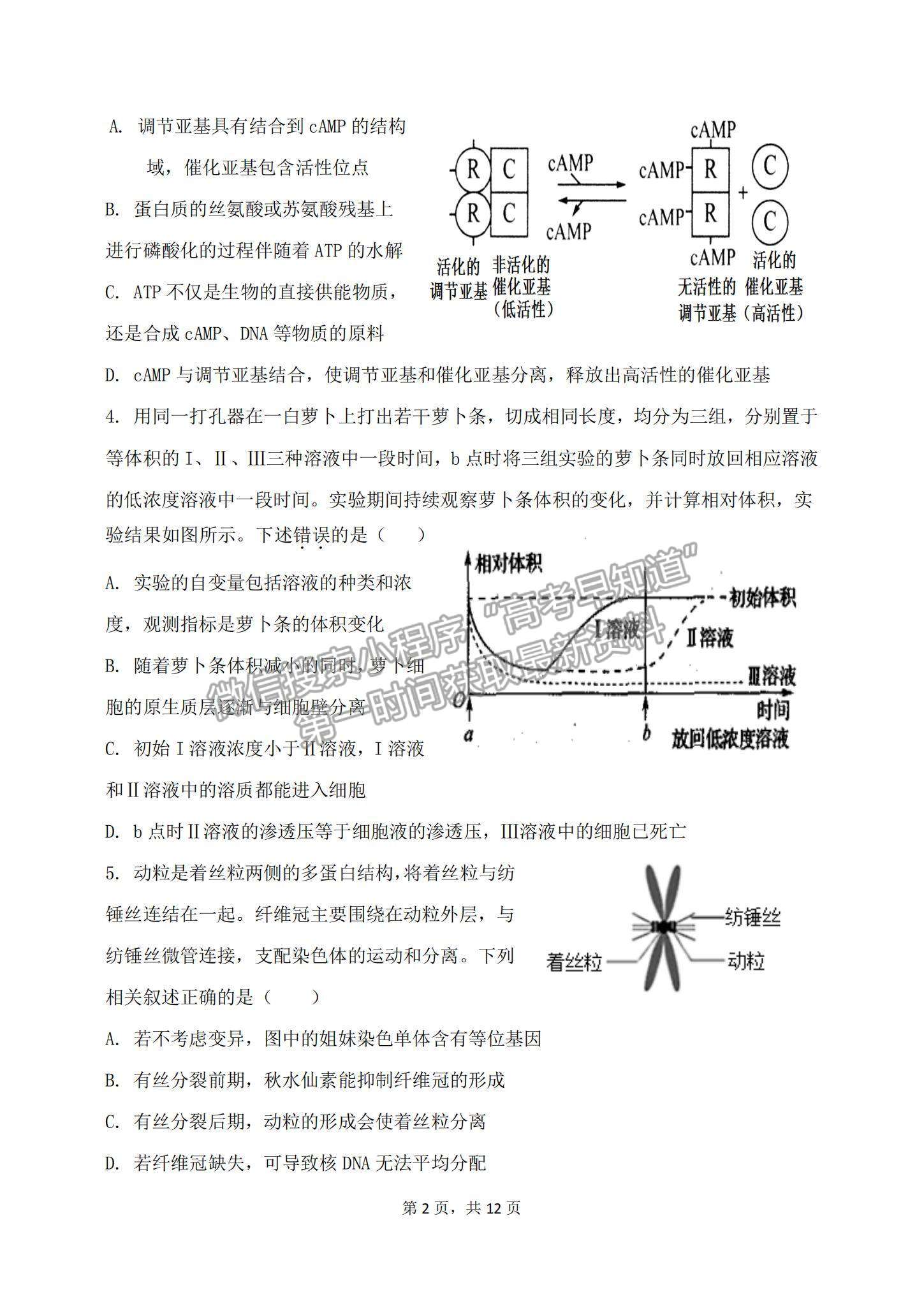 2023山東滕州一中高三10月月考生物試卷和答案