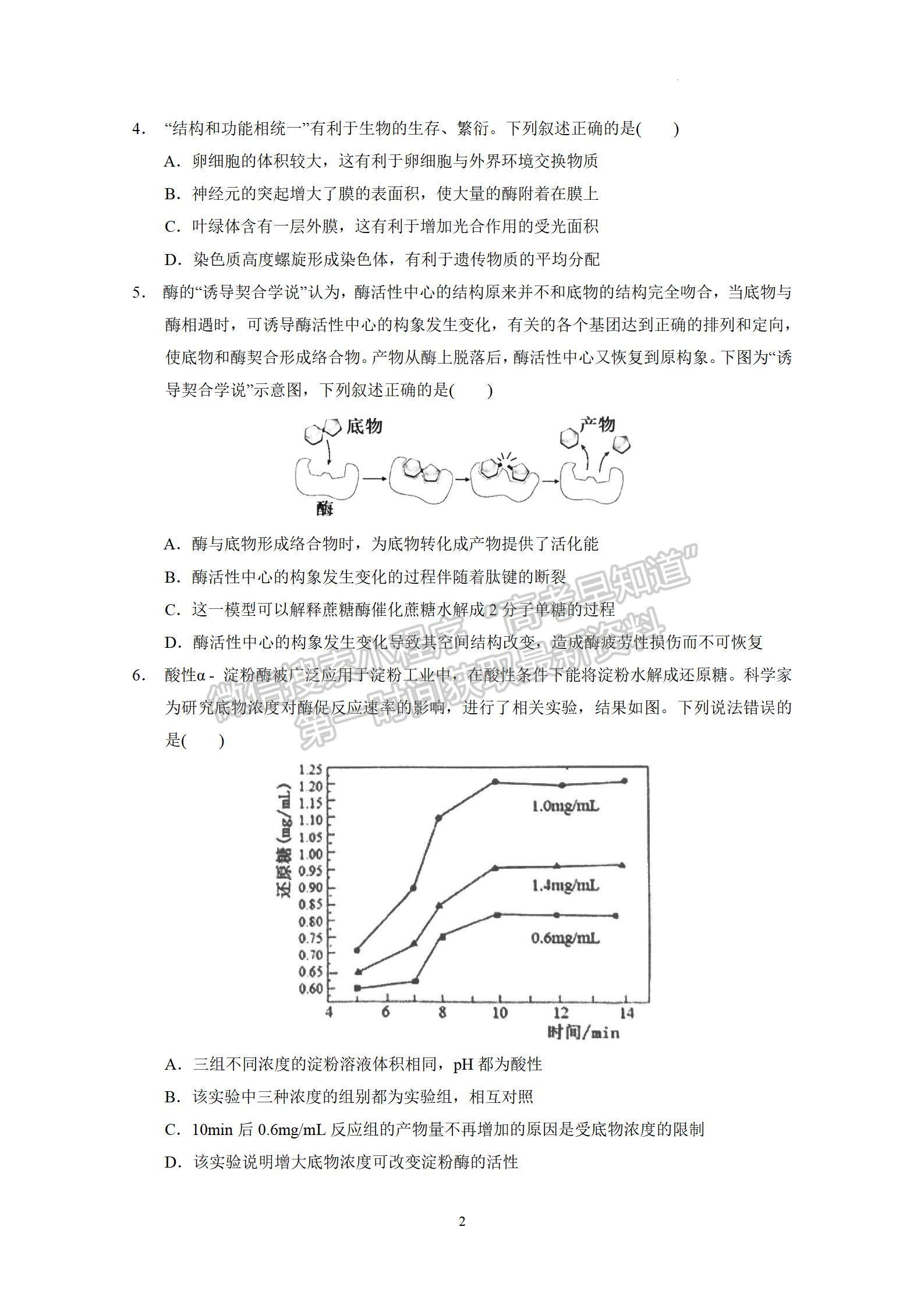 2023廣東實驗中學高三10月階段考生物試題及答案