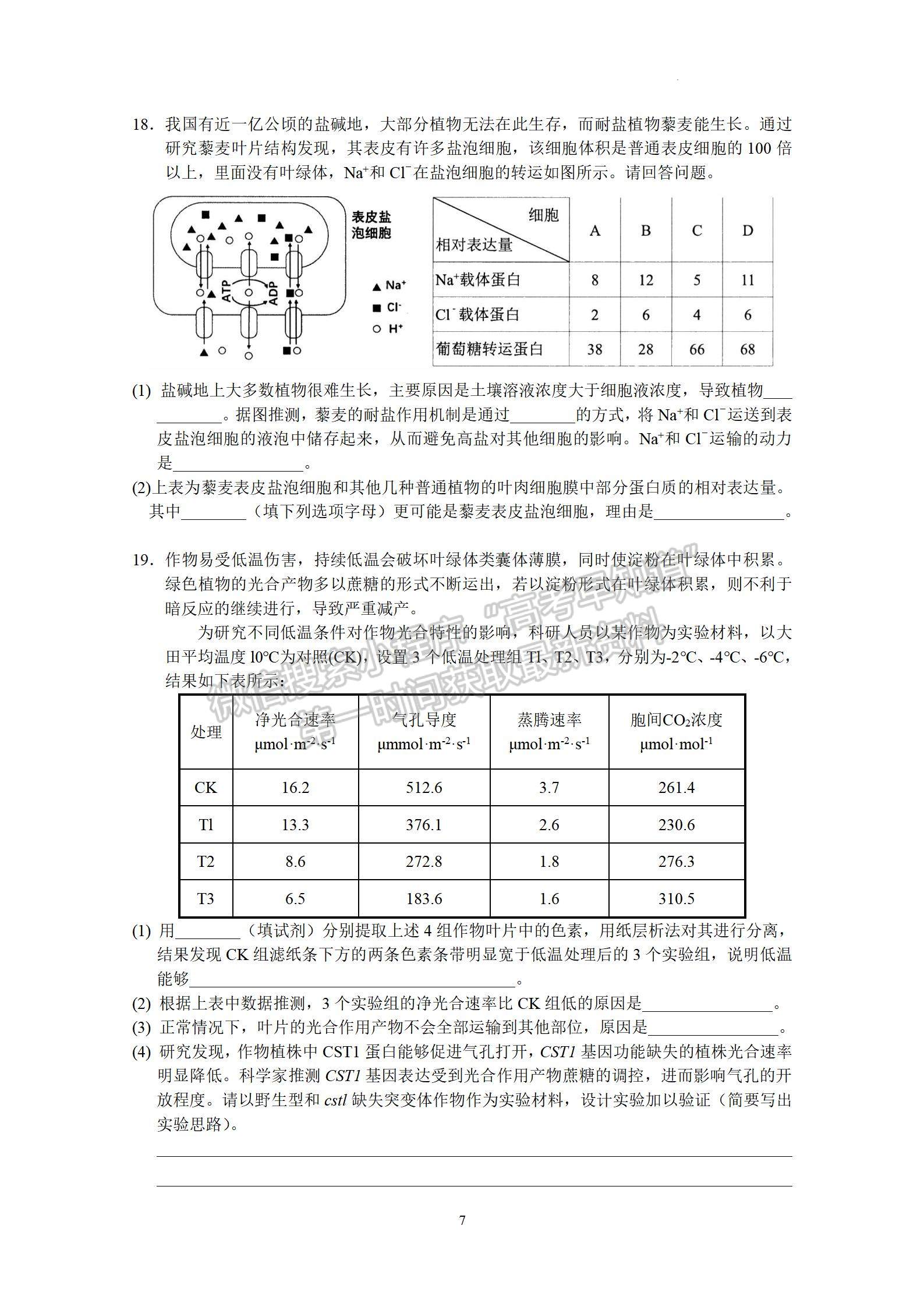 2023廣東實(shí)驗(yàn)中學(xué)高三10月階段考生物試題及答案