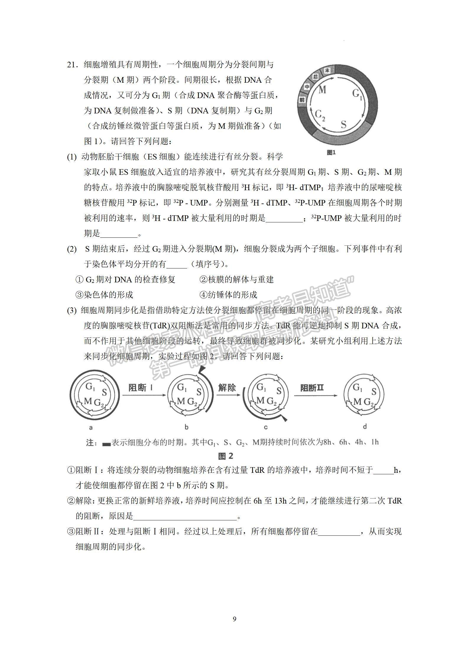 2023廣東實(shí)驗(yàn)中學(xué)高三10月階段考生物試題及答案