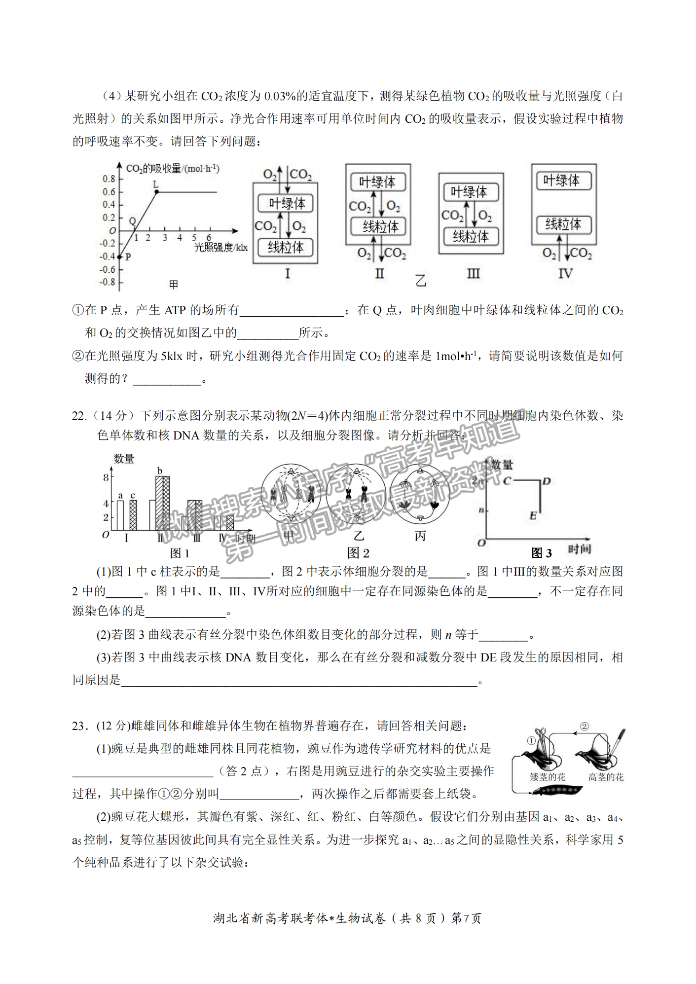 2023屆湖北省荊荊宜三校高三上學(xué)期10月聯(lián)考生物試卷及答案