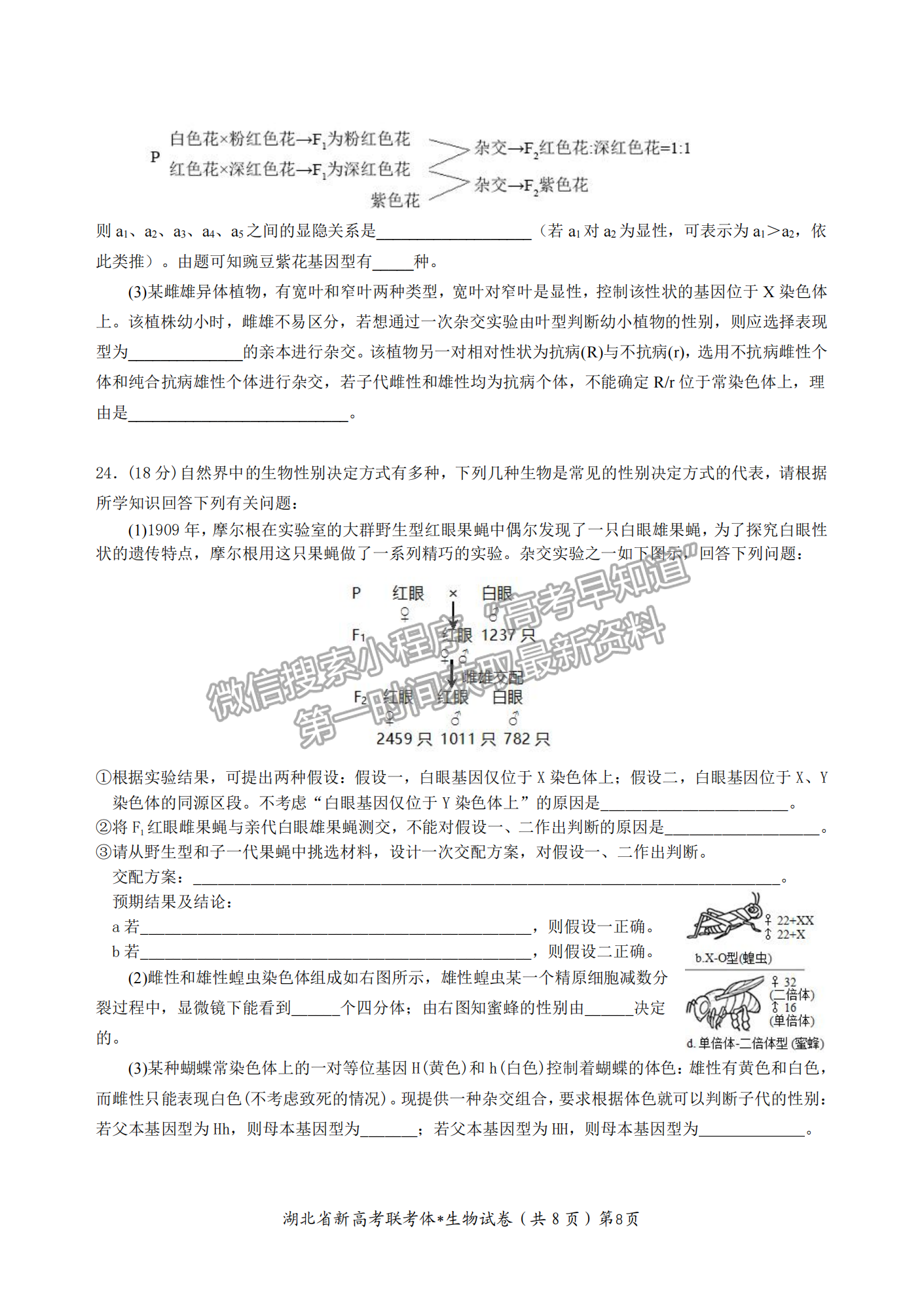 2023屆湖北省荊荊宜三校高三上學(xué)期10月聯(lián)考生物試卷及答案