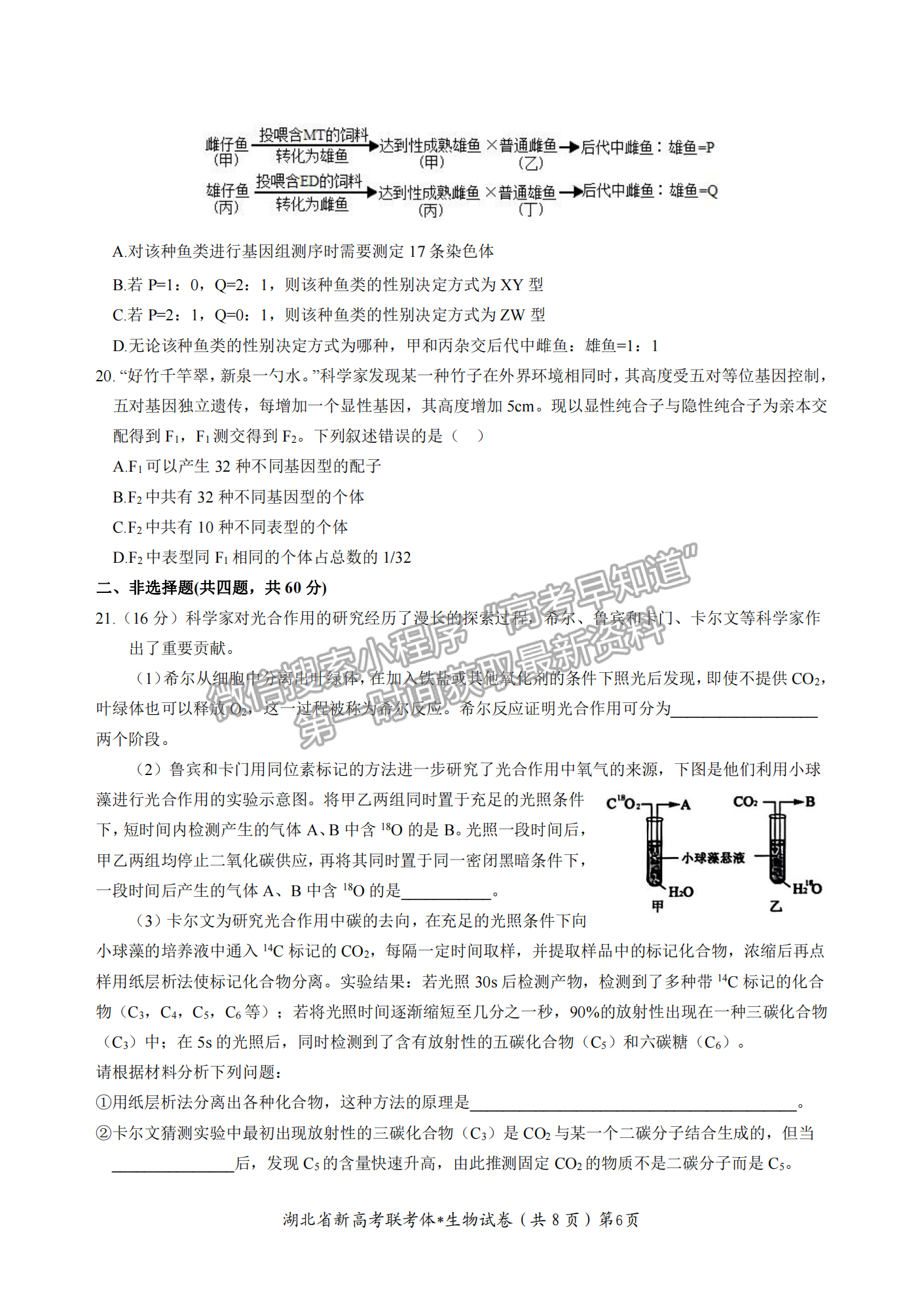 2023屆湖北省荊荊宜三校高三上學(xué)期10月聯(lián)考生物試卷及答案