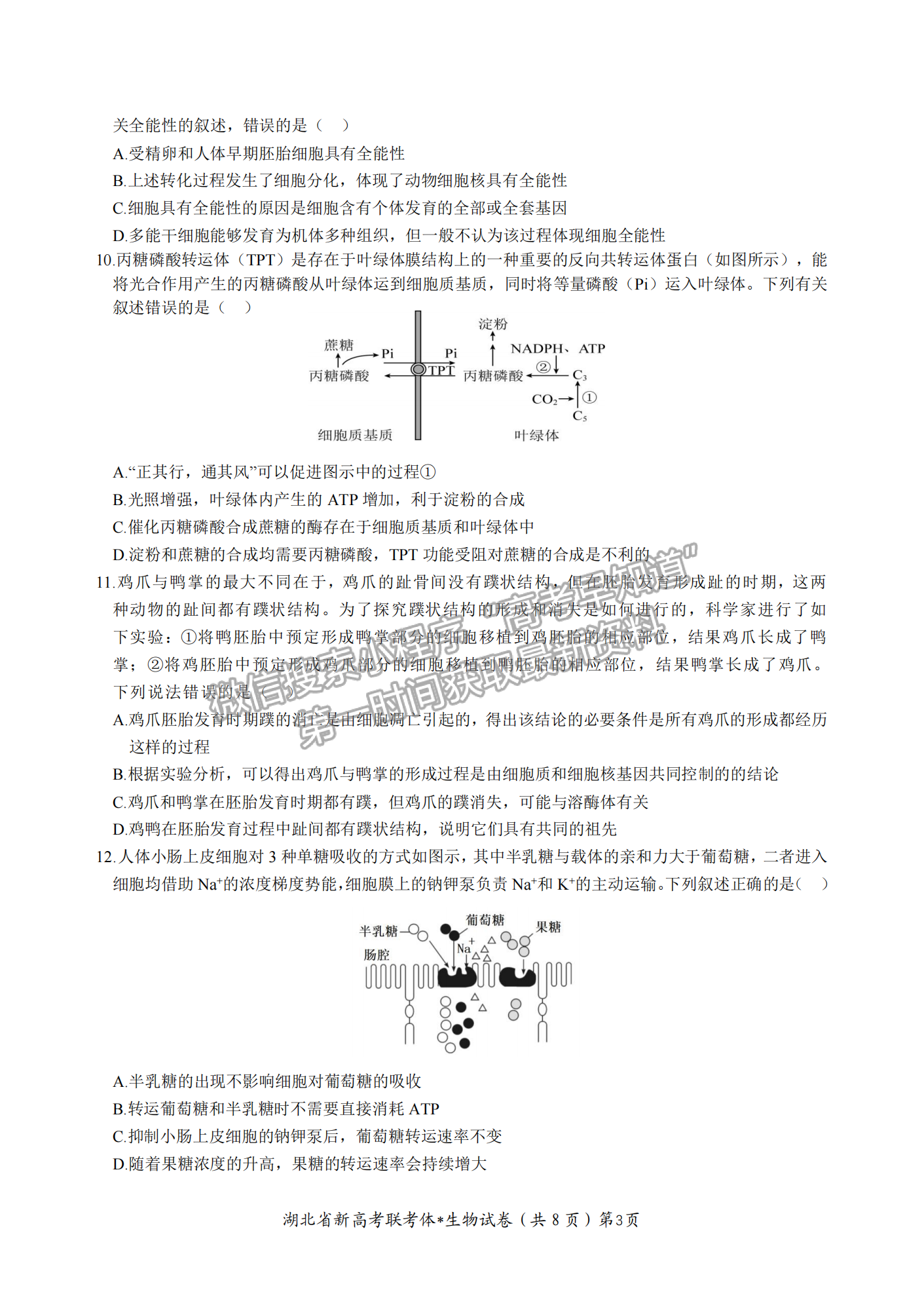 2023屆湖北省荊荊宜三校高三上學期10月聯(lián)考生物試卷及答案