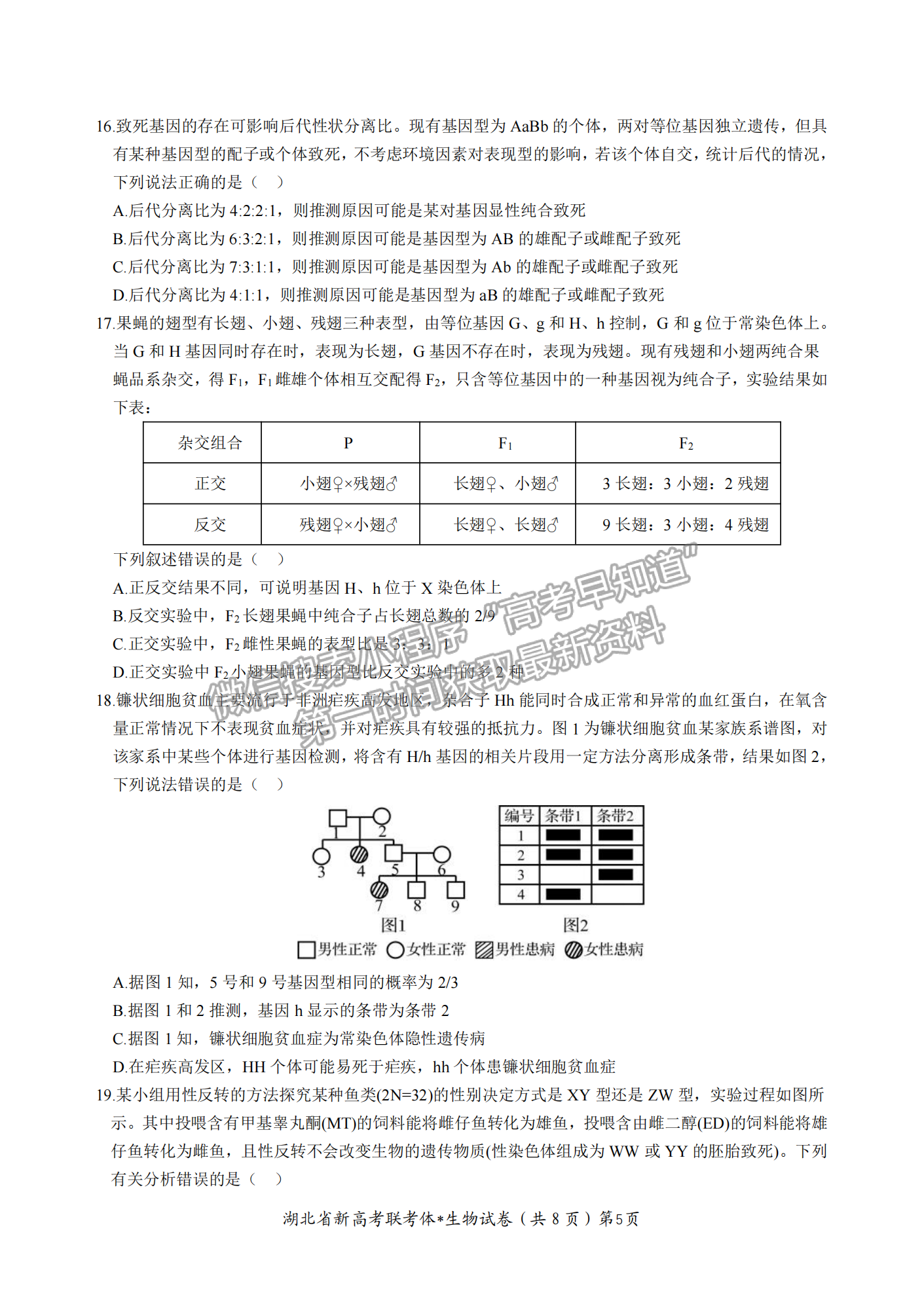 2023屆湖北省荊荊宜三校高三上學期10月聯(lián)考生物試卷及答案