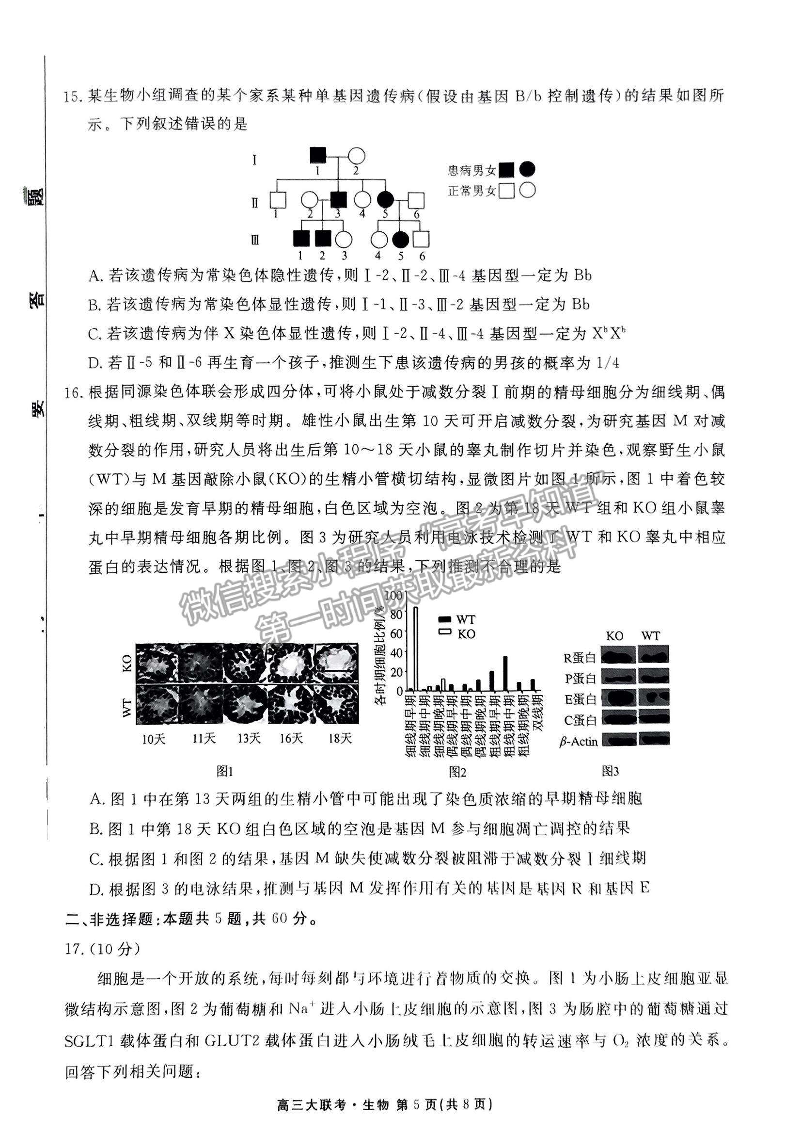 2023廣東衡水10月大聯(lián)考生物試題及參考答案